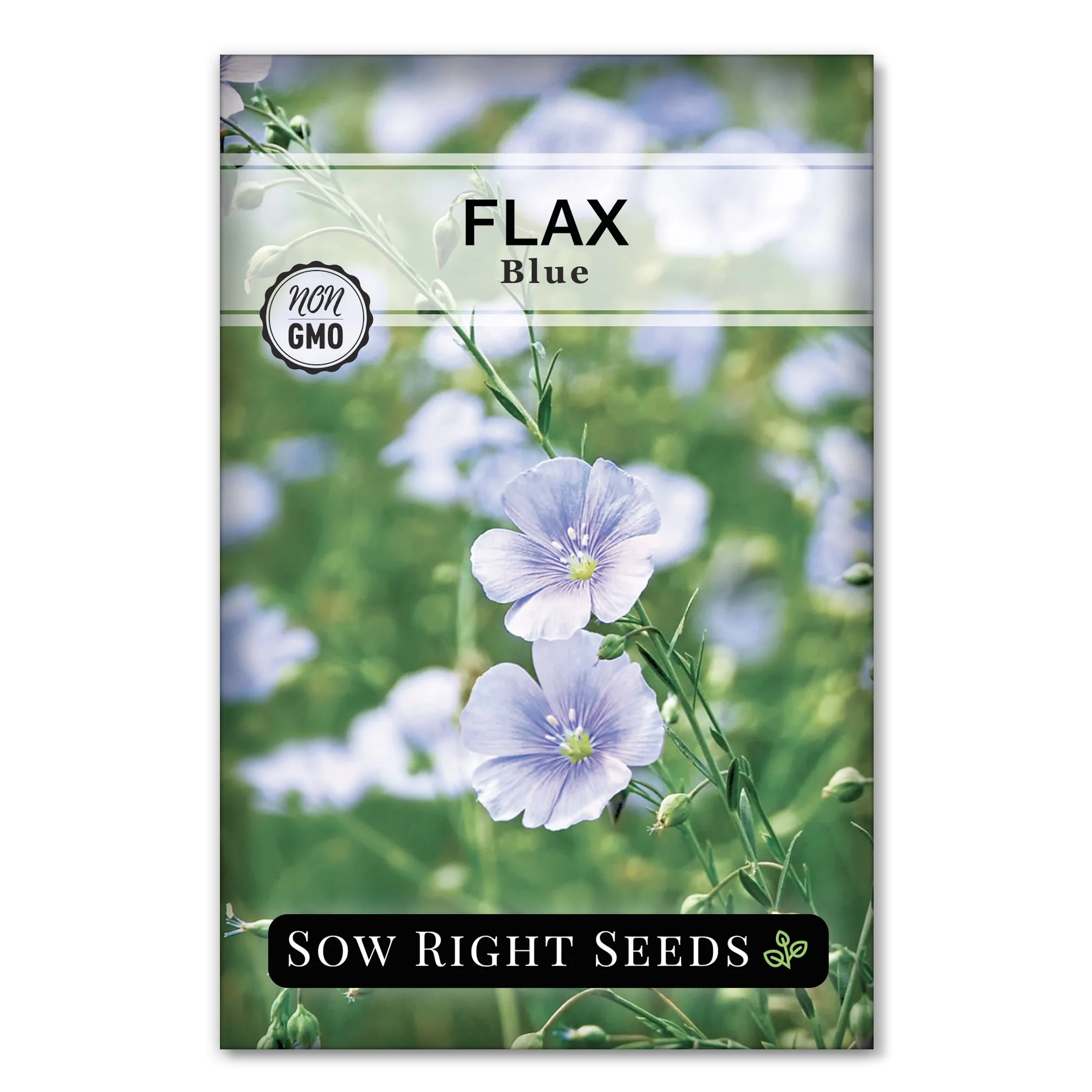 Blue Flax