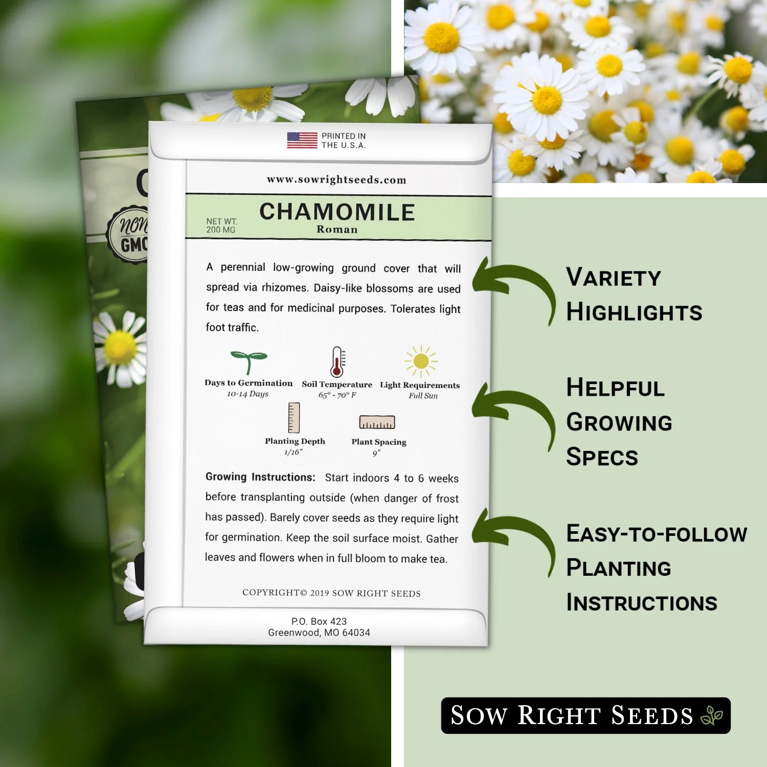 Roman Chamomile Seeds