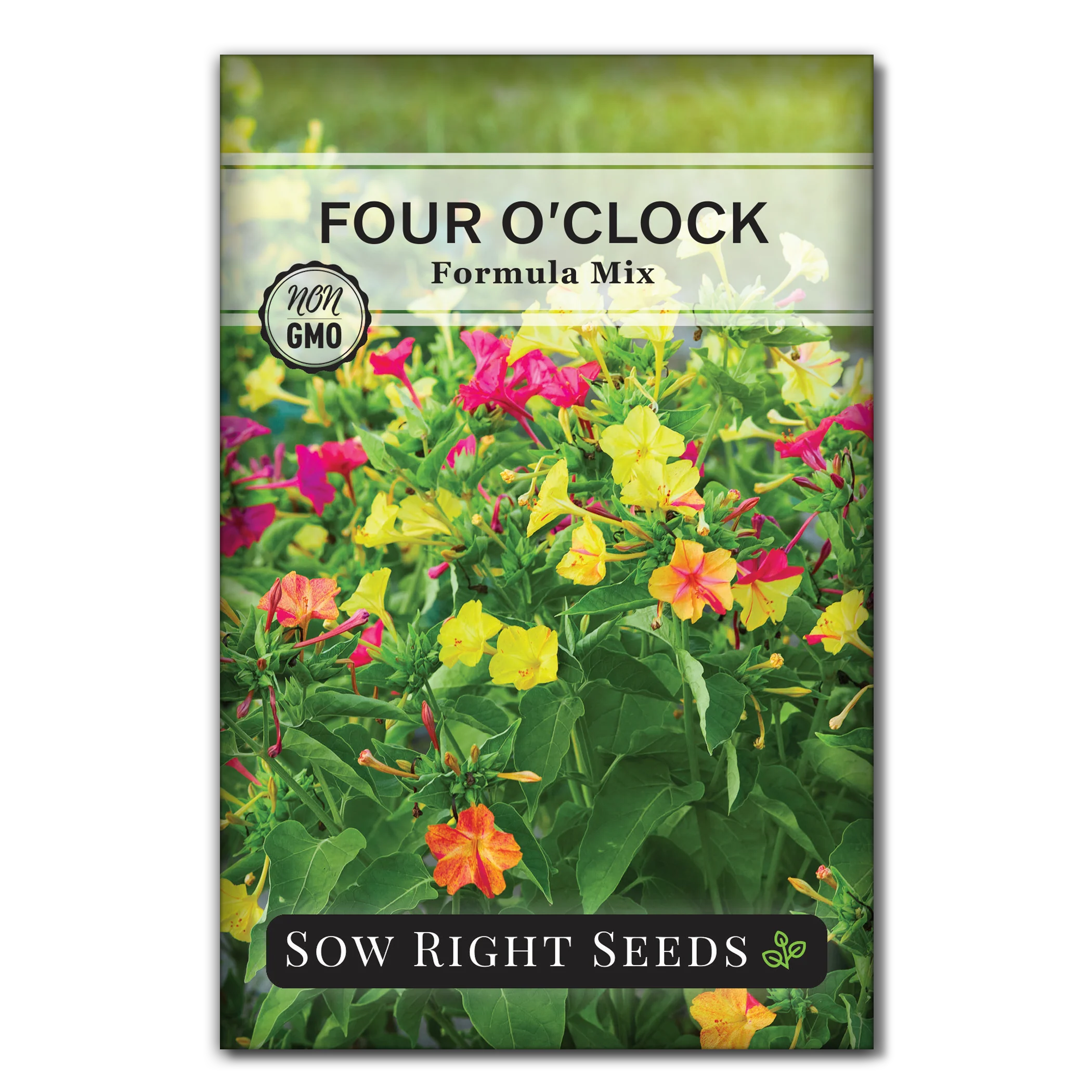 Formula Mix Four O'Clock