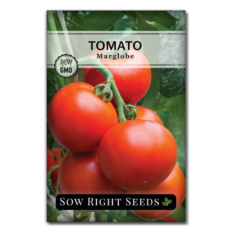 Marglobe Tomato Seeds