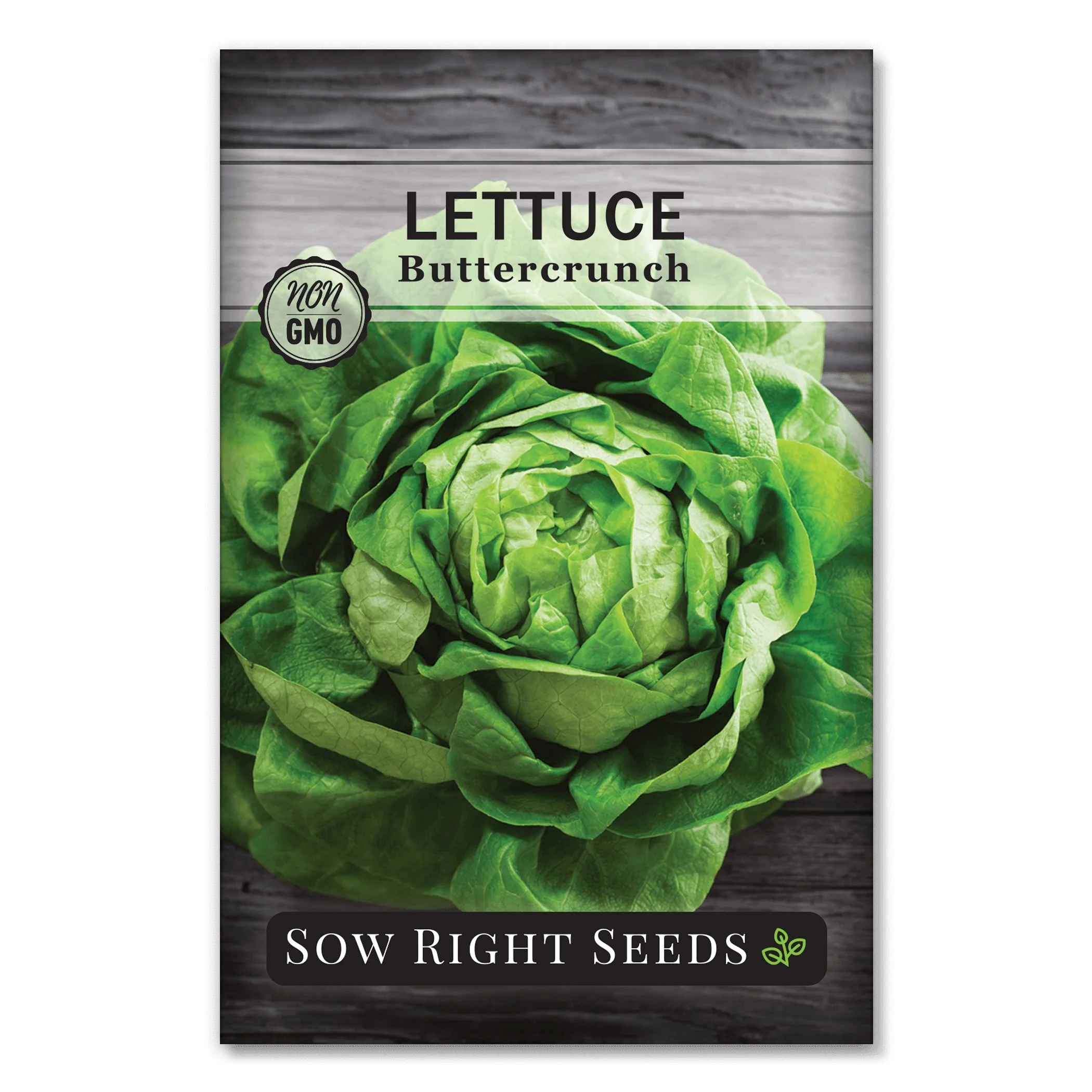 Buttercrunch Lettuce