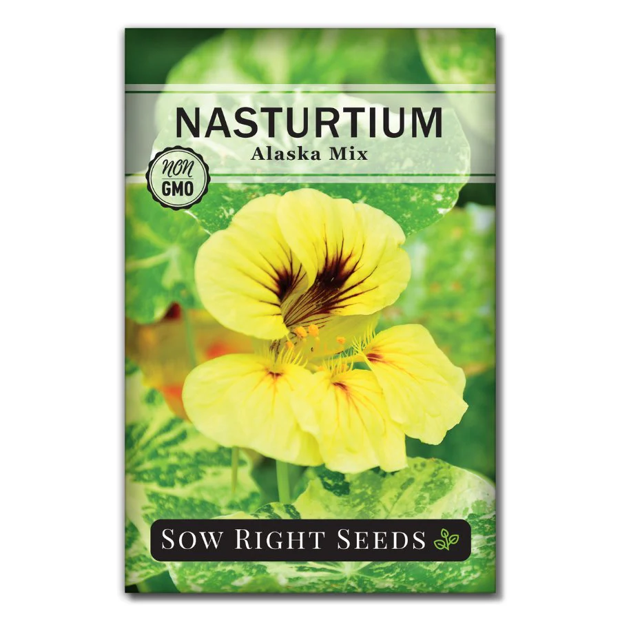 Alaska Mix Nasturtium