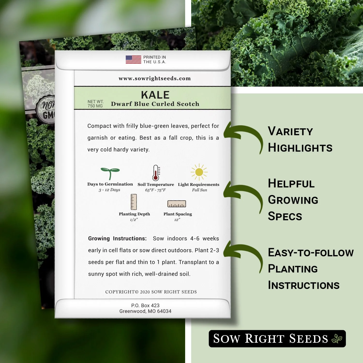 Dwarf Blue Curled Scotch Kale