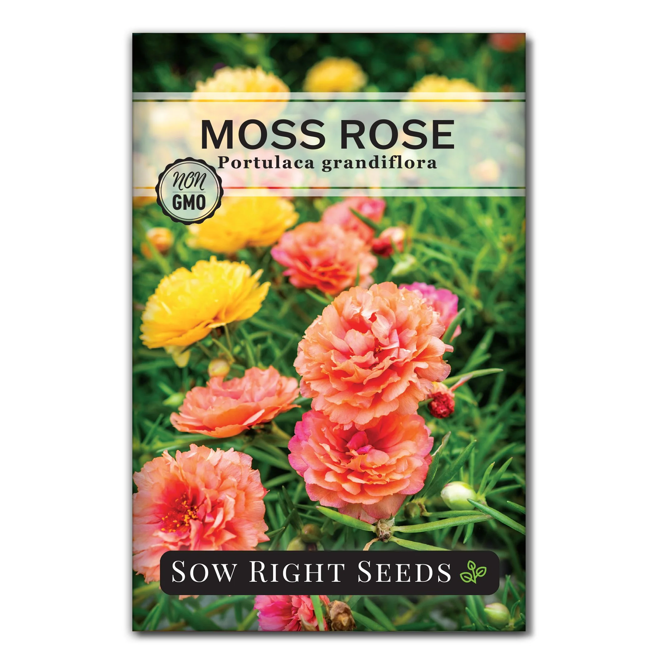 Moss Rose Seeds