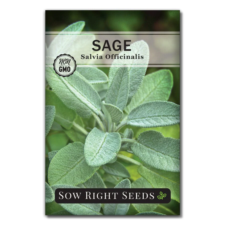 Sage