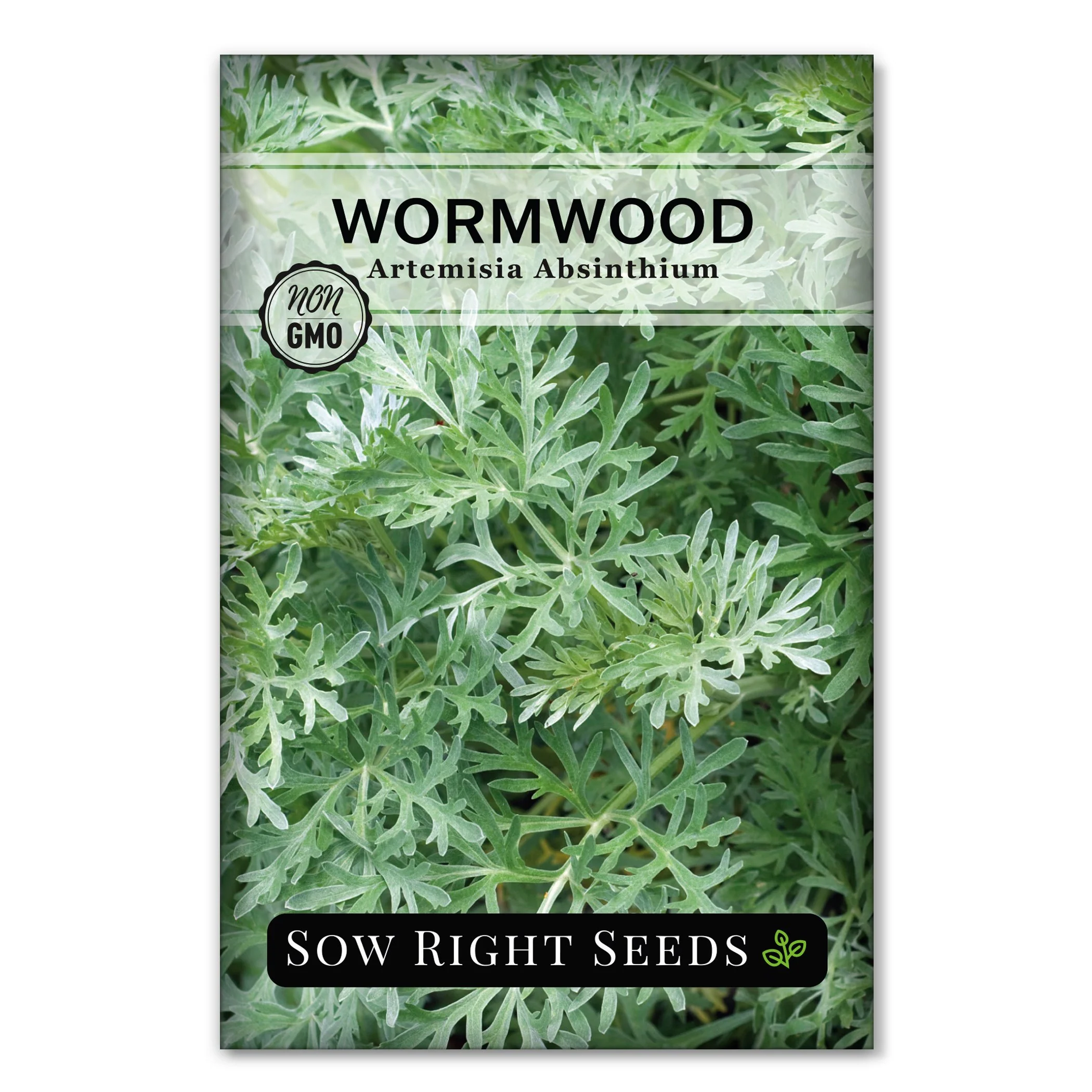 Wormwood