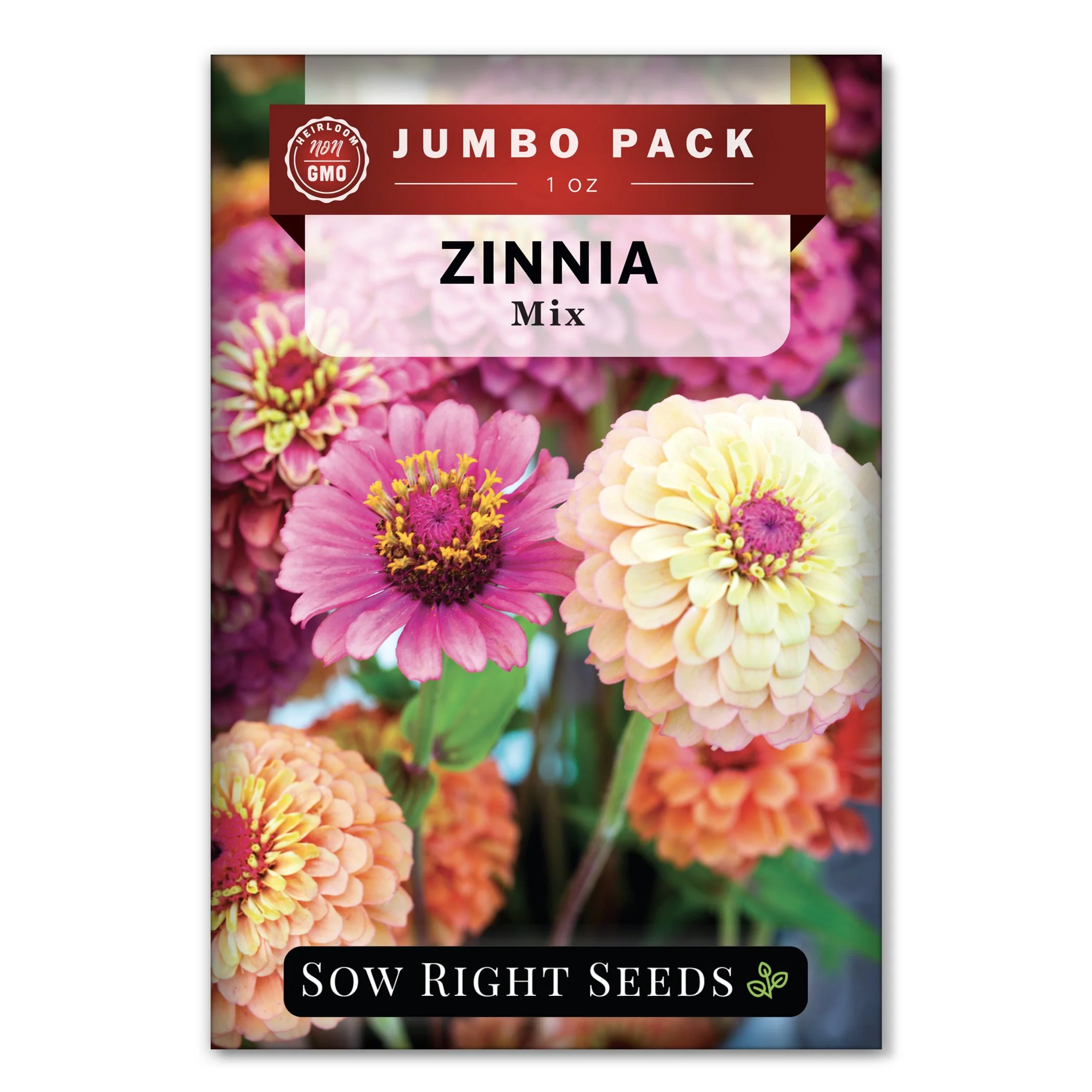 Bulk Zinnia Mix 1 Ounce