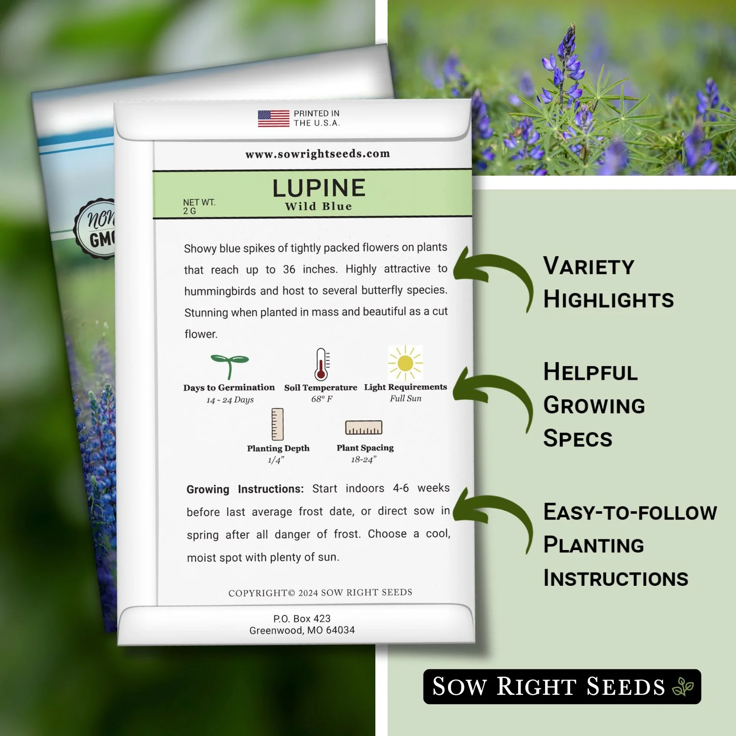 Wild Blue Lupine Seeds