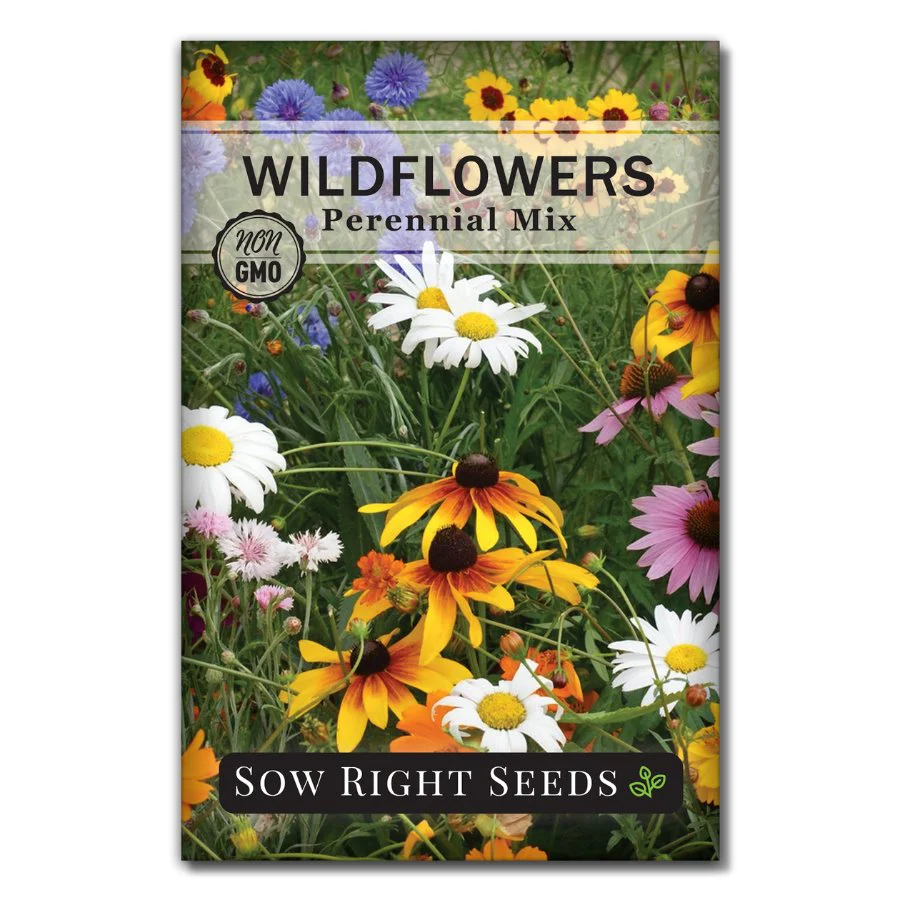 Perennial Wildflowers