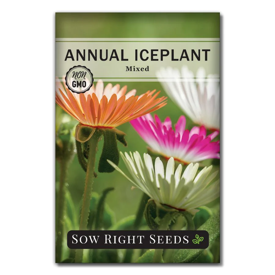 Annual Iceplant - Livingstone Daisy Seeds