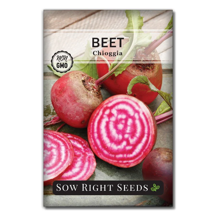 Chioggia Beet