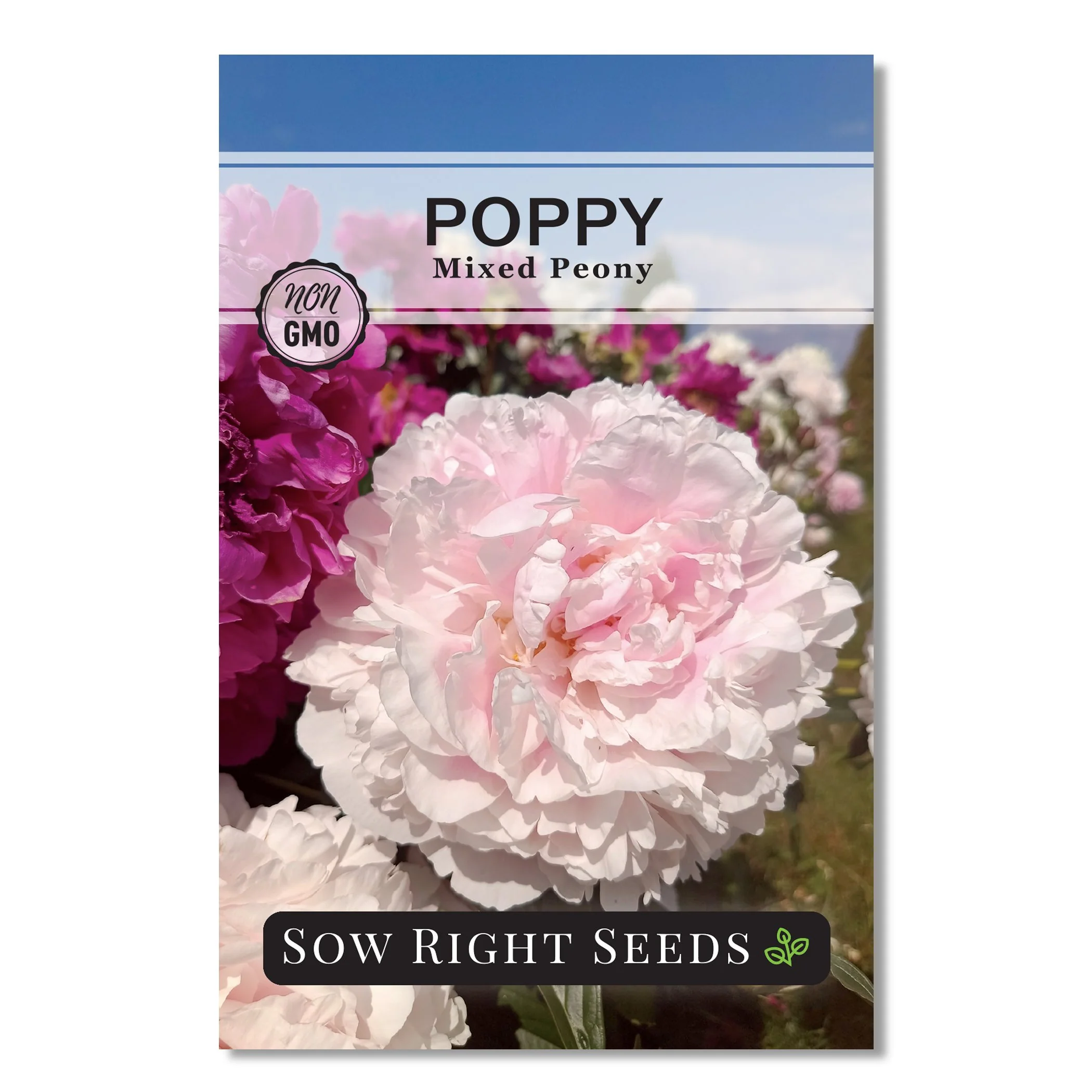 Mixed Peony Poppy Seeds