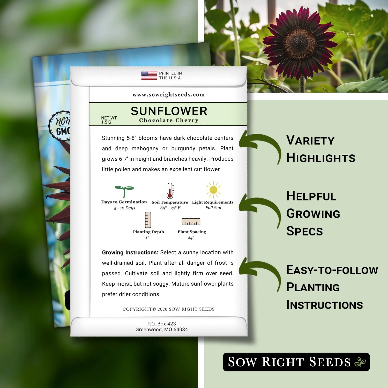 Chocolate Cherry Sunflower