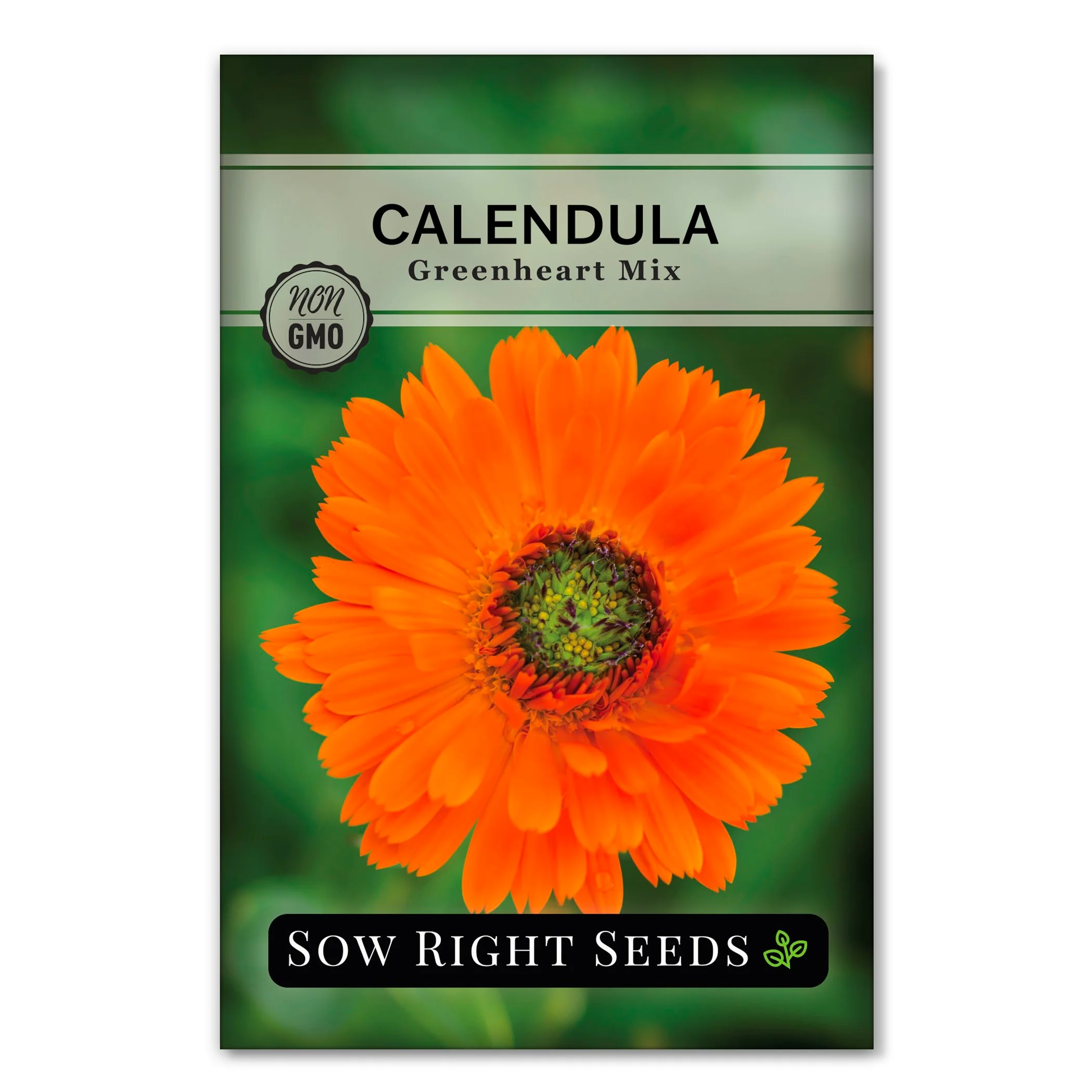 Greenheart Mix Calendula