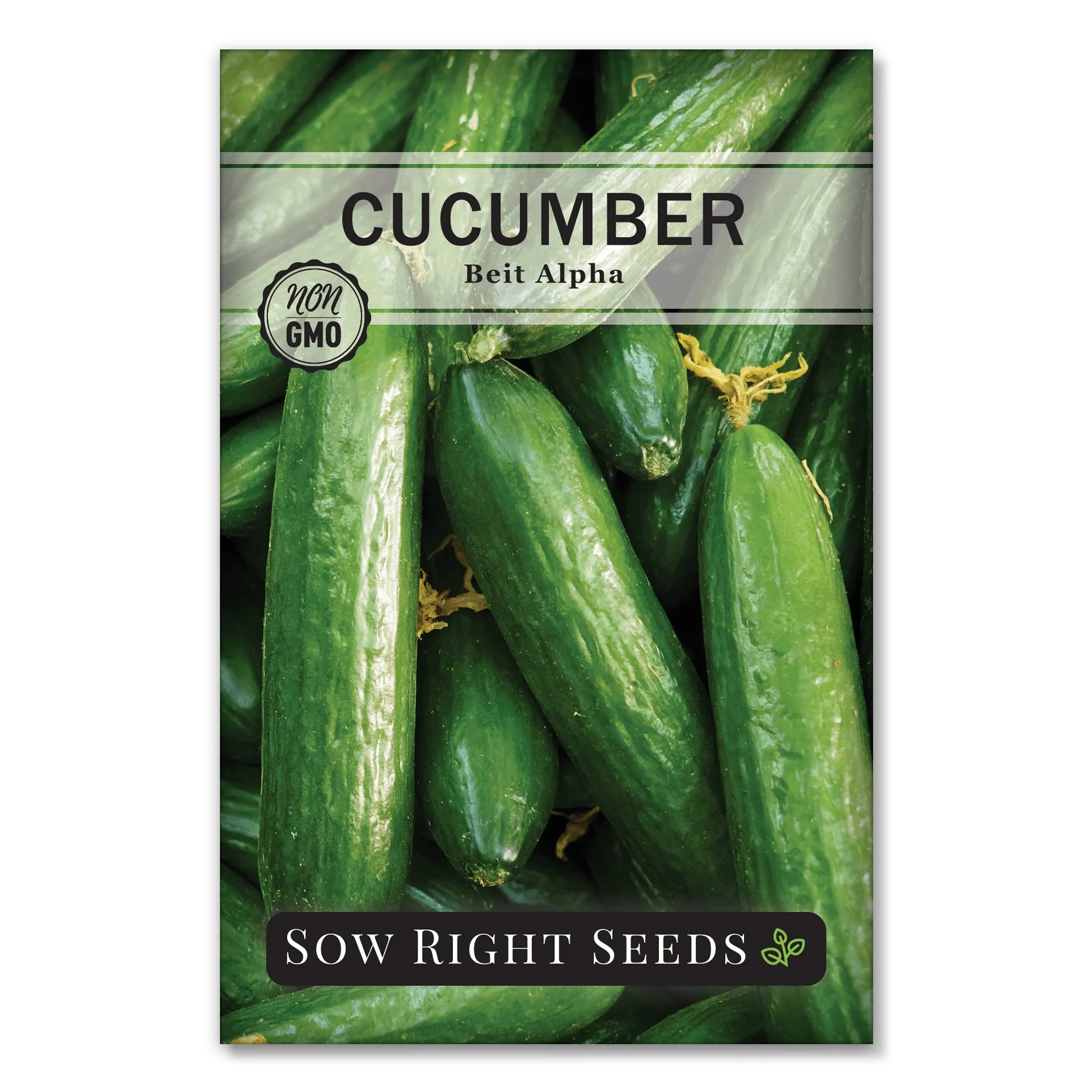 Beit Alpha Cucumber Seeds