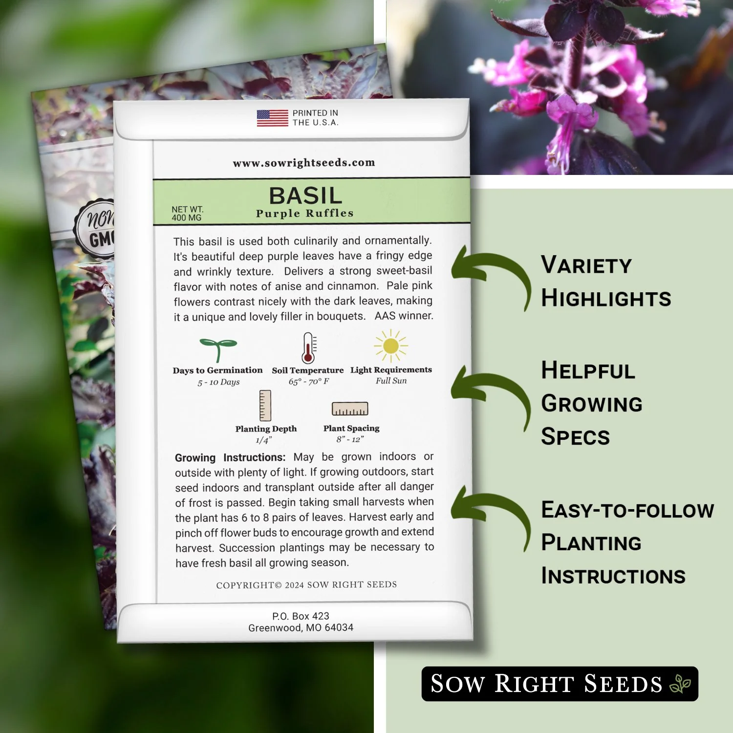 Purple Ruffles Basil