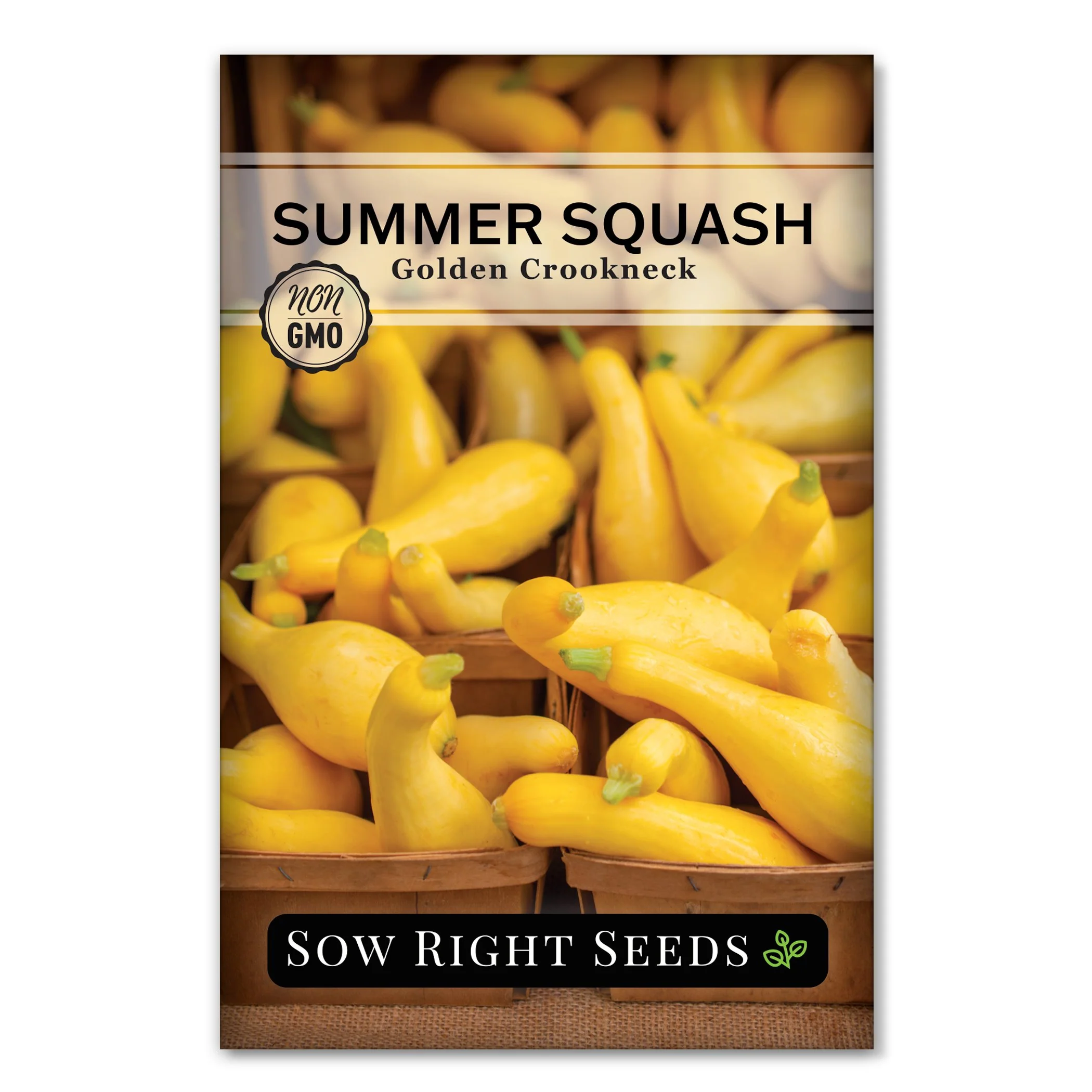 Golden Crookneck Summer Squash