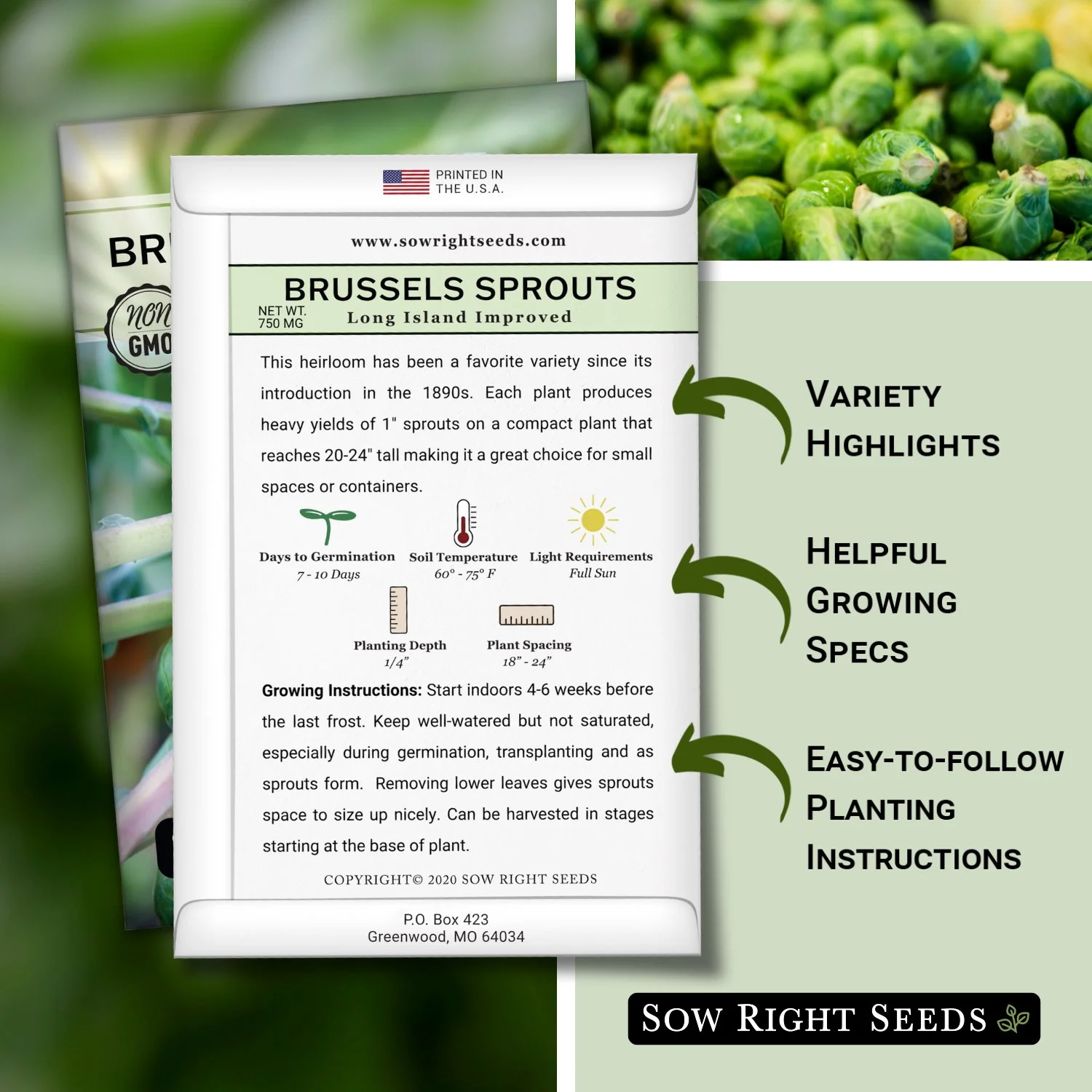 Long Island Improved Brussels Sprouts