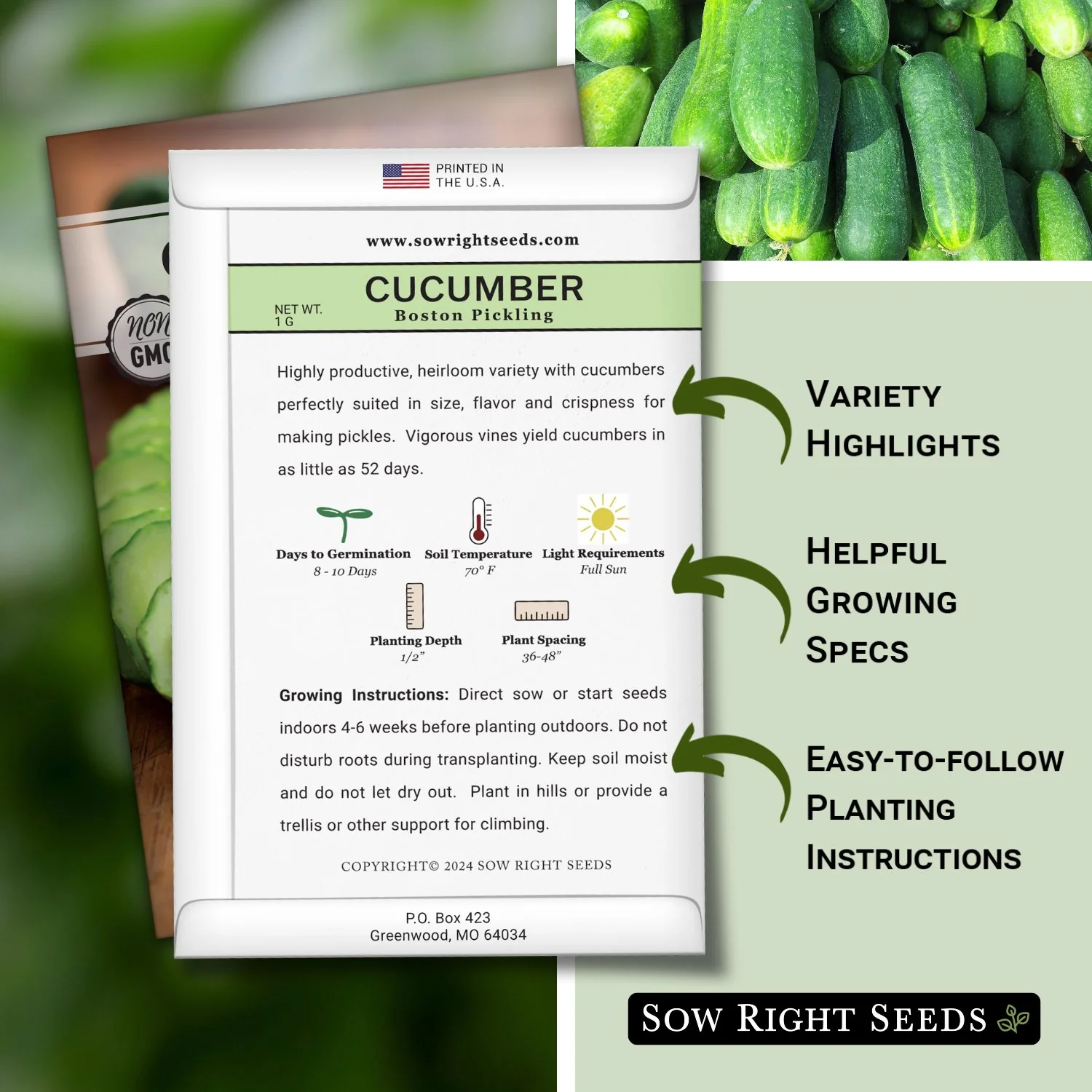 Boston Pickling Cucumber Seeds