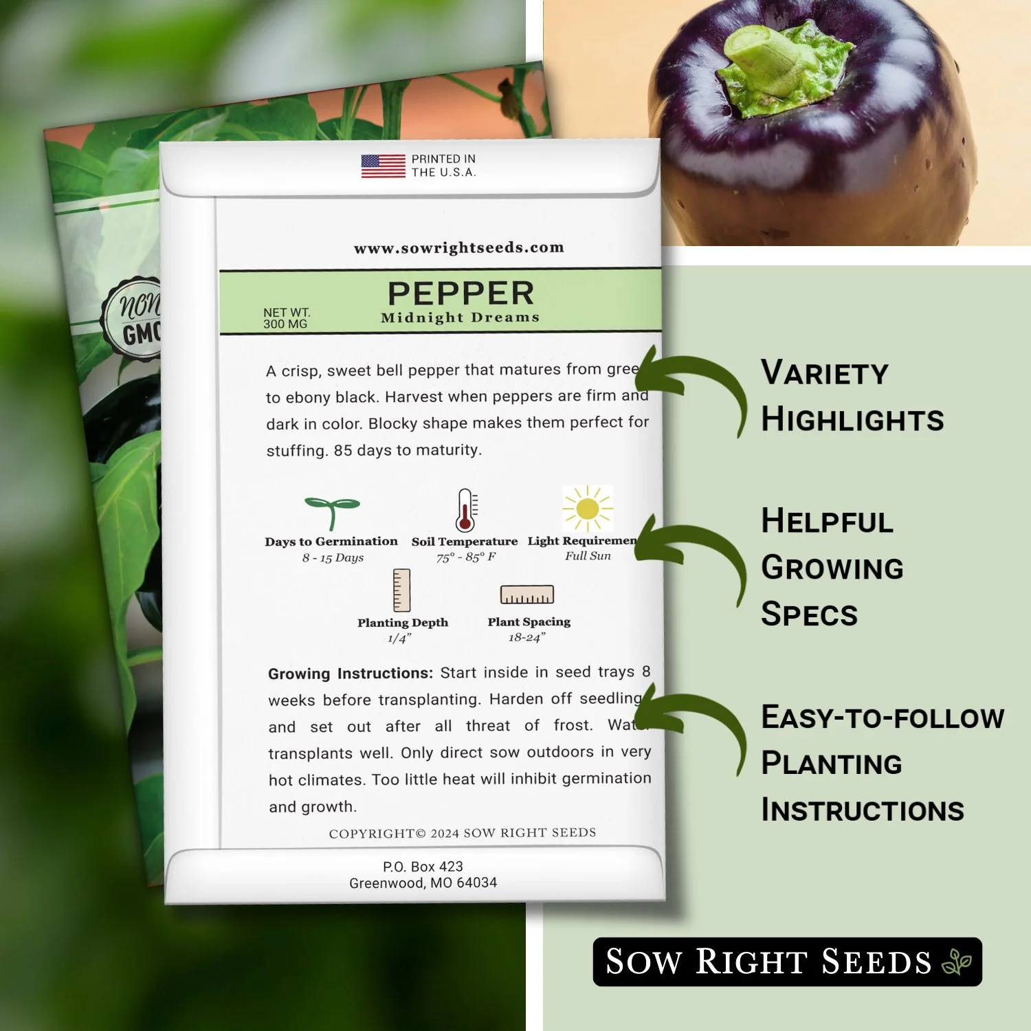 Midnight Dreams Pepper Seeds