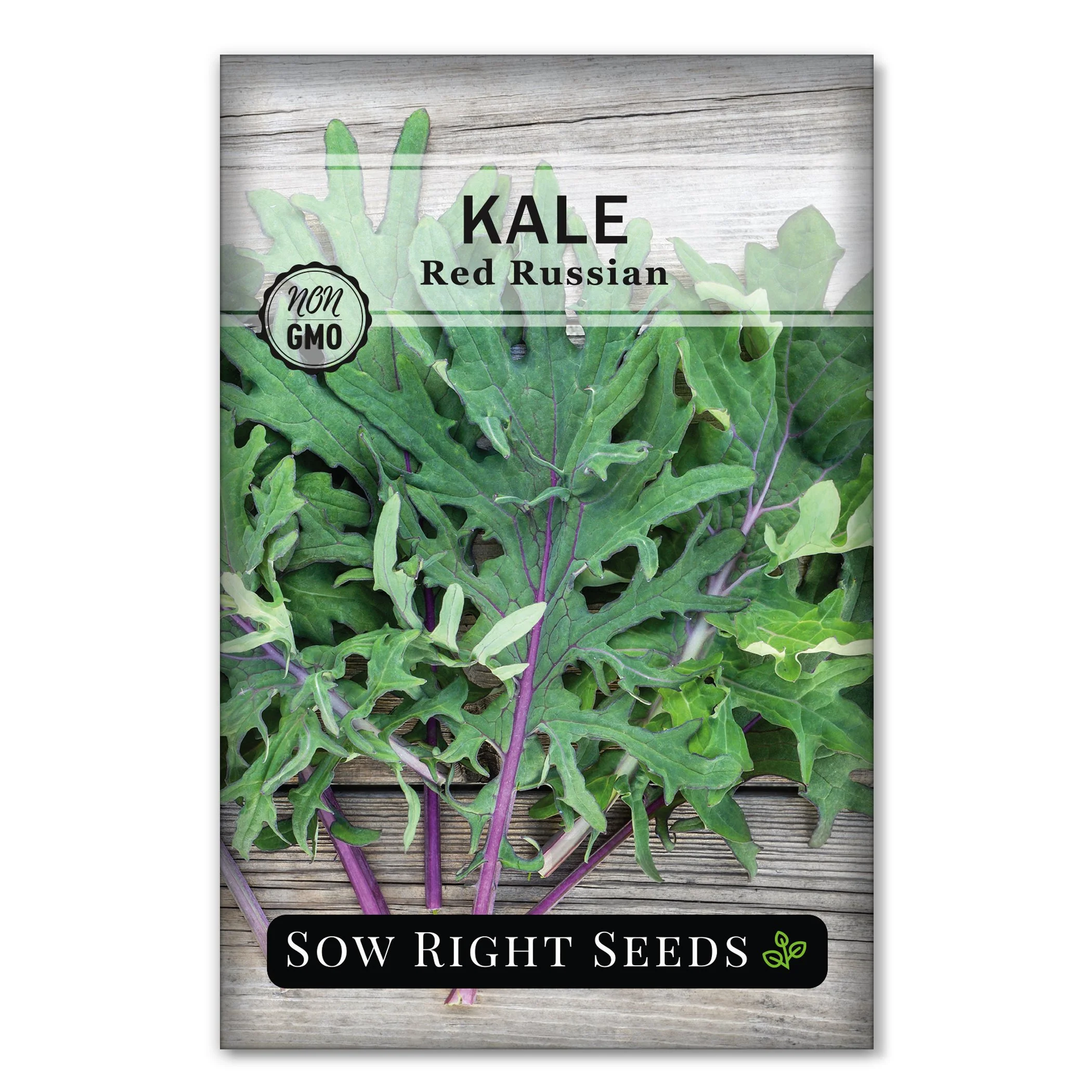 Red Russian Kale