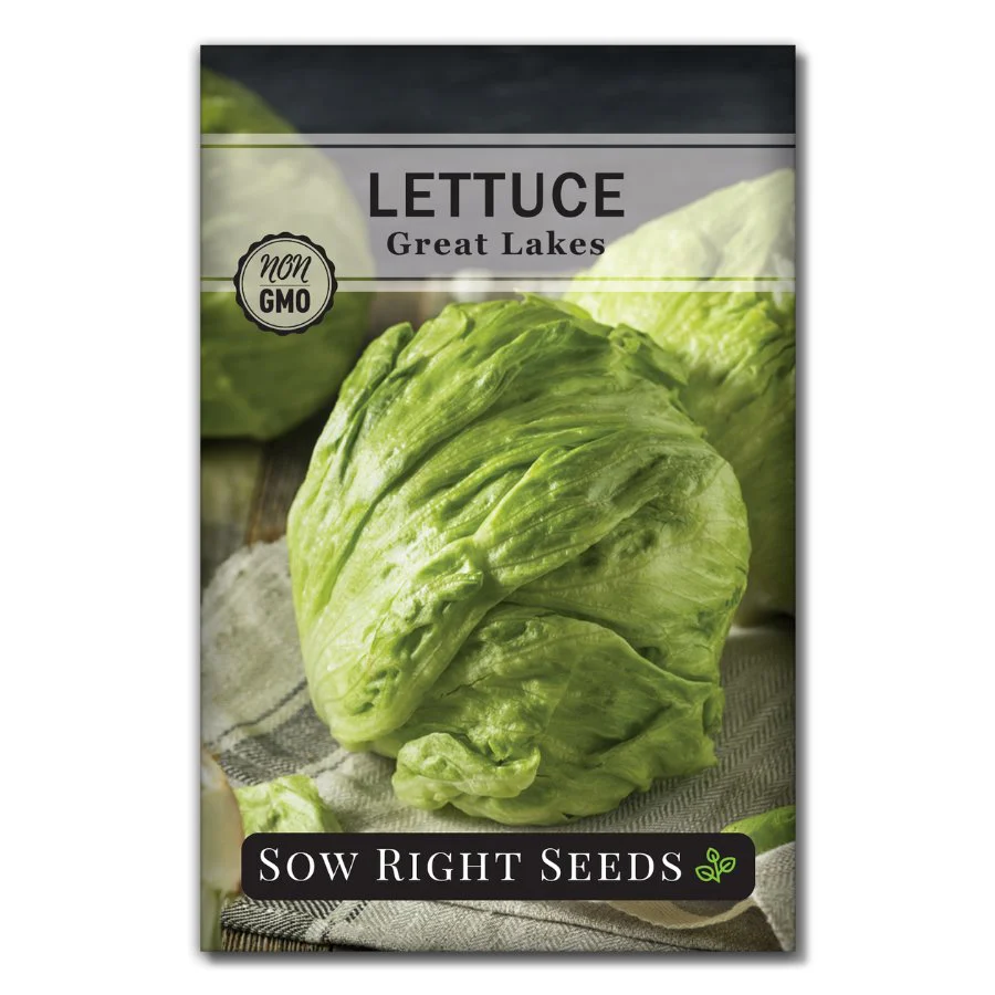 Great Lakes Lettuce