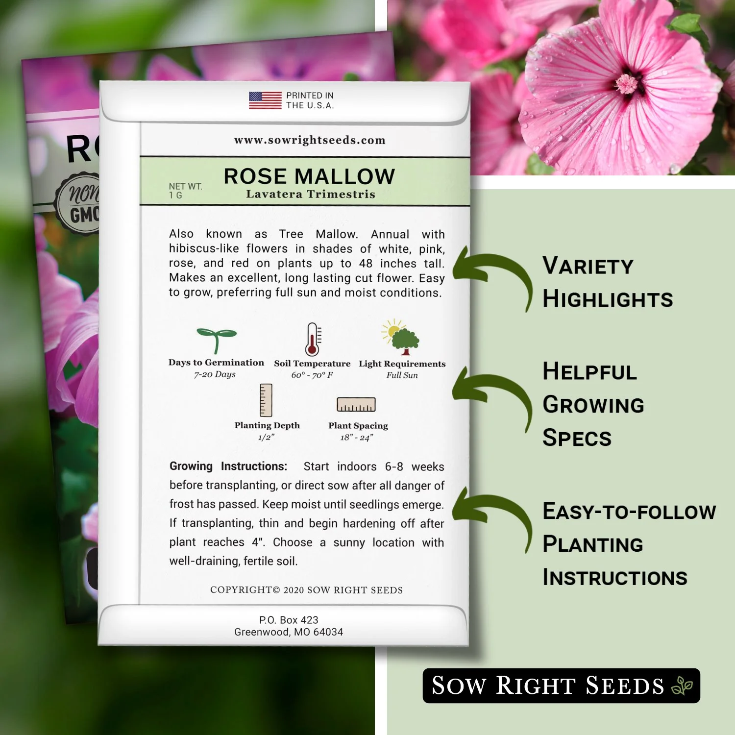 Rose Mallow