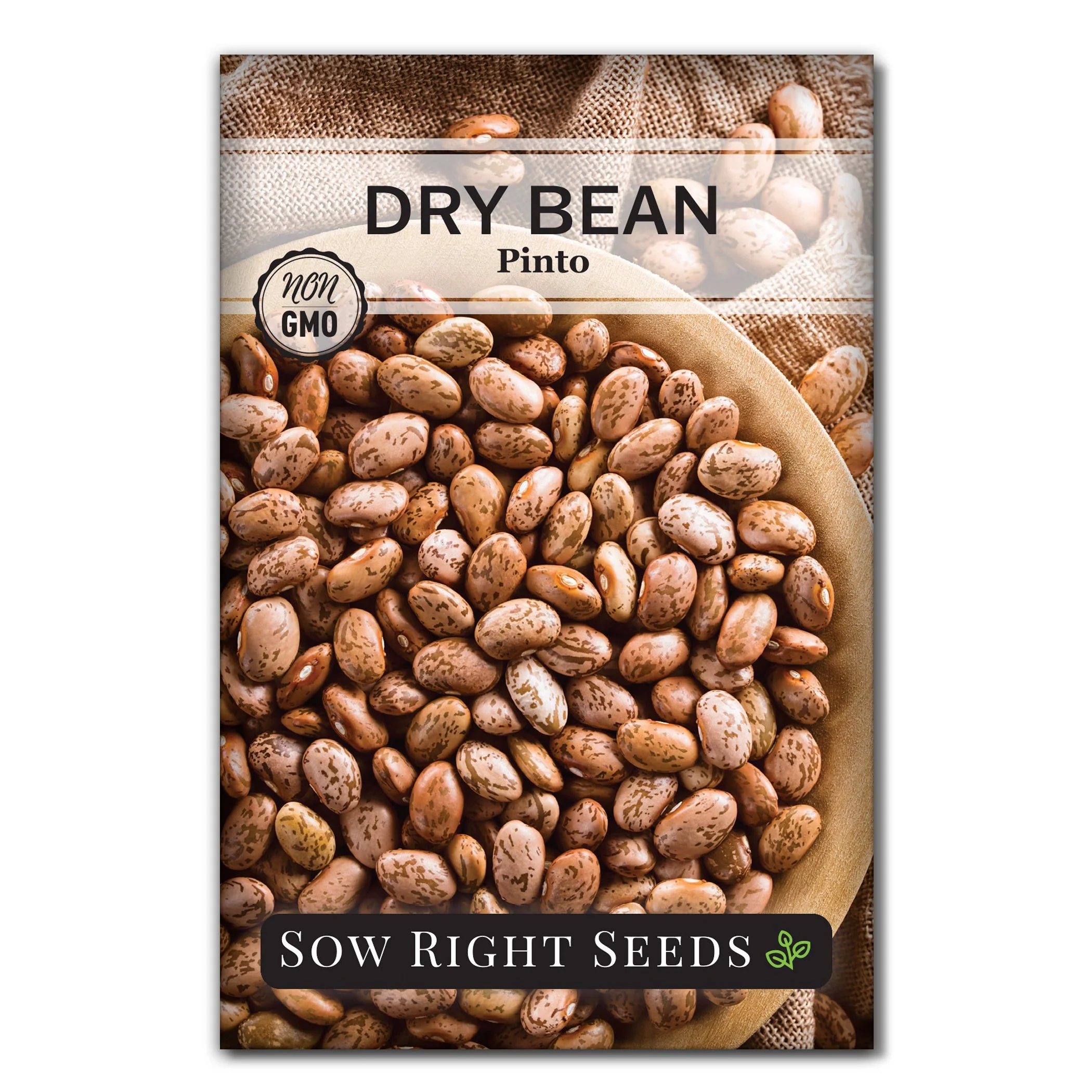 Pinto Dry Bean Seeds