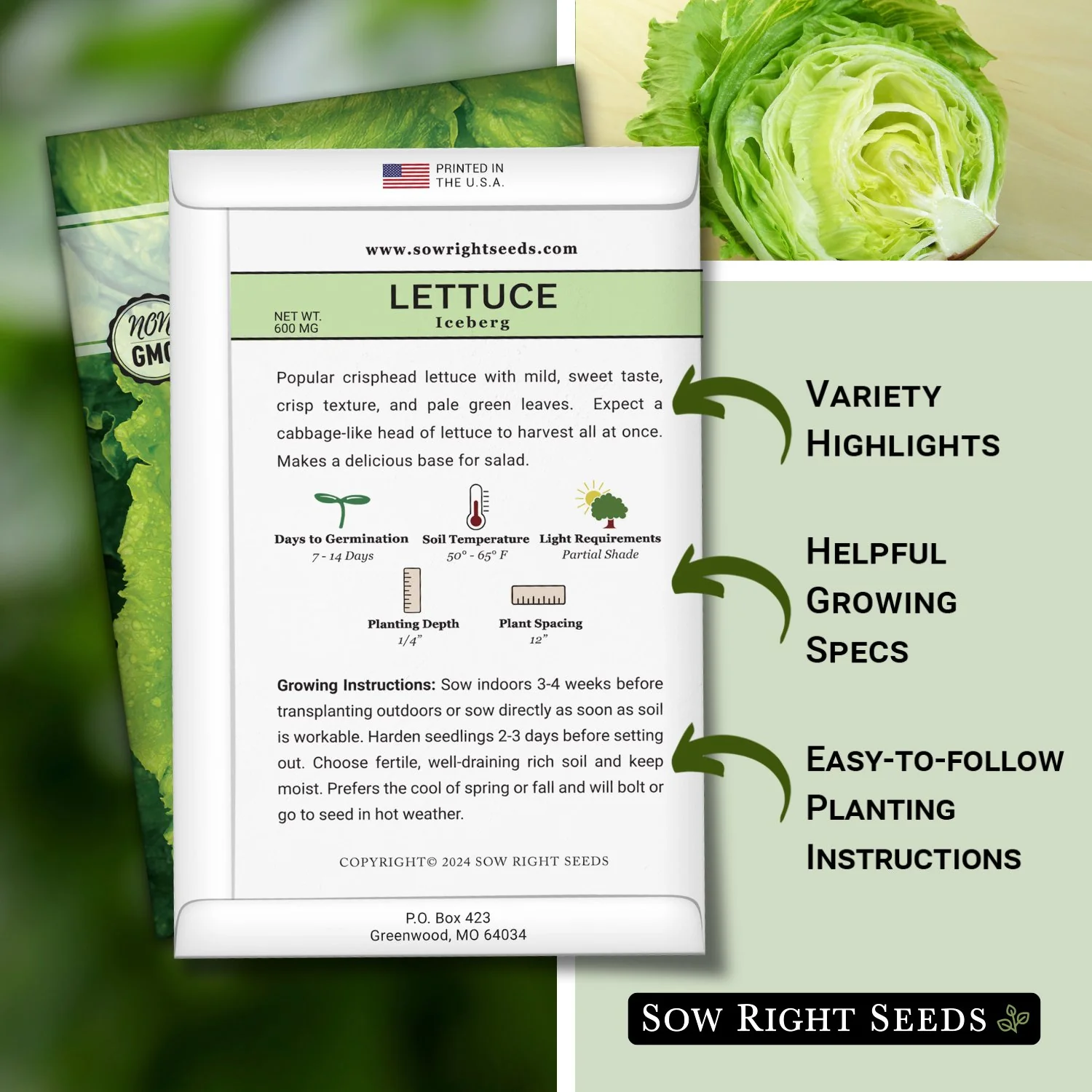 Iceberg Lettuce Seeds