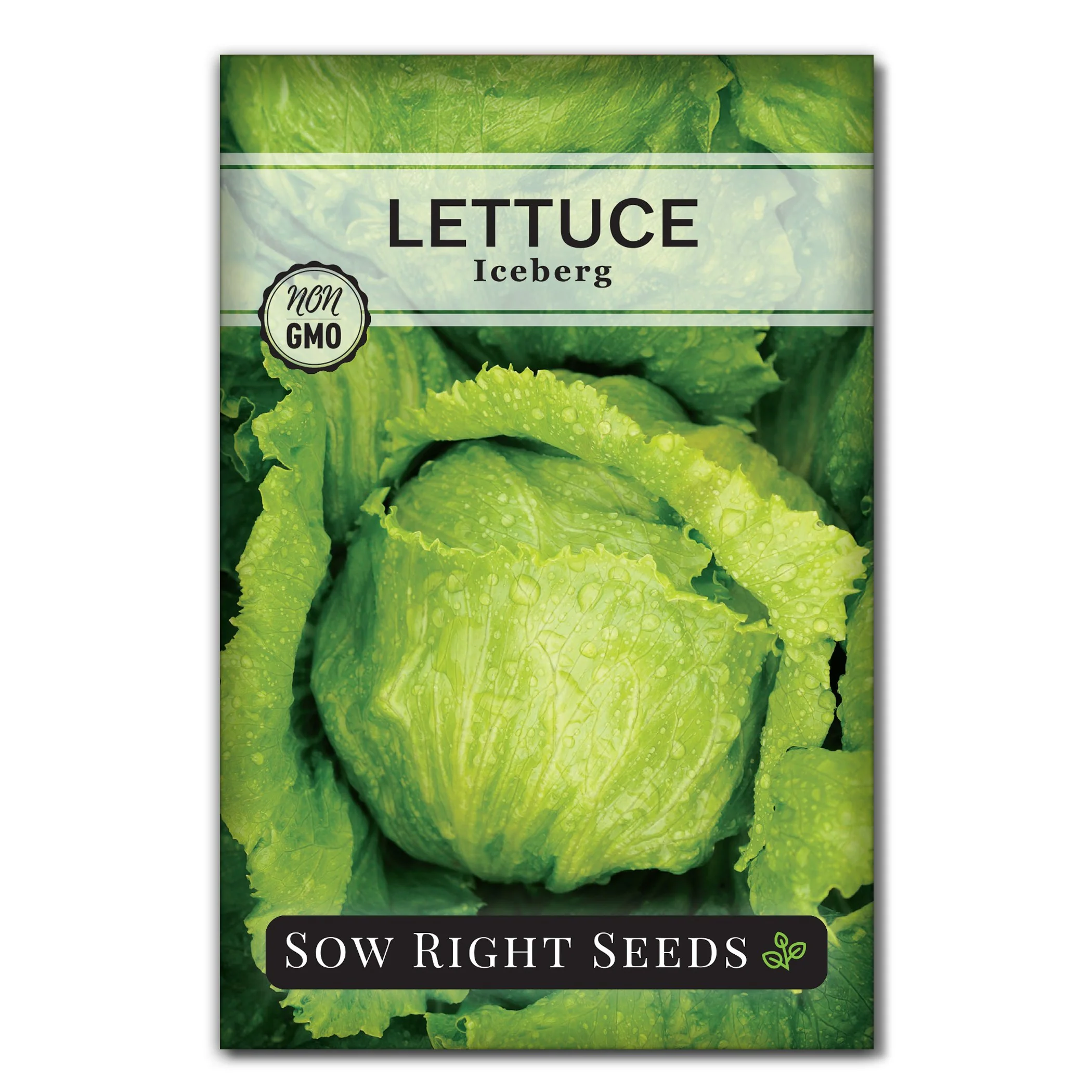 Iceberg Lettuce Seeds