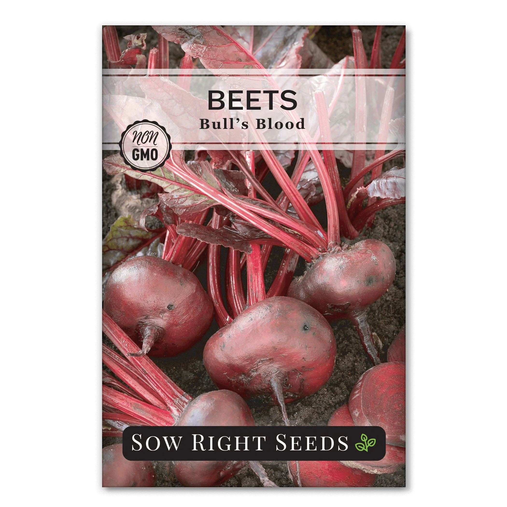 Bull's Blood Beet