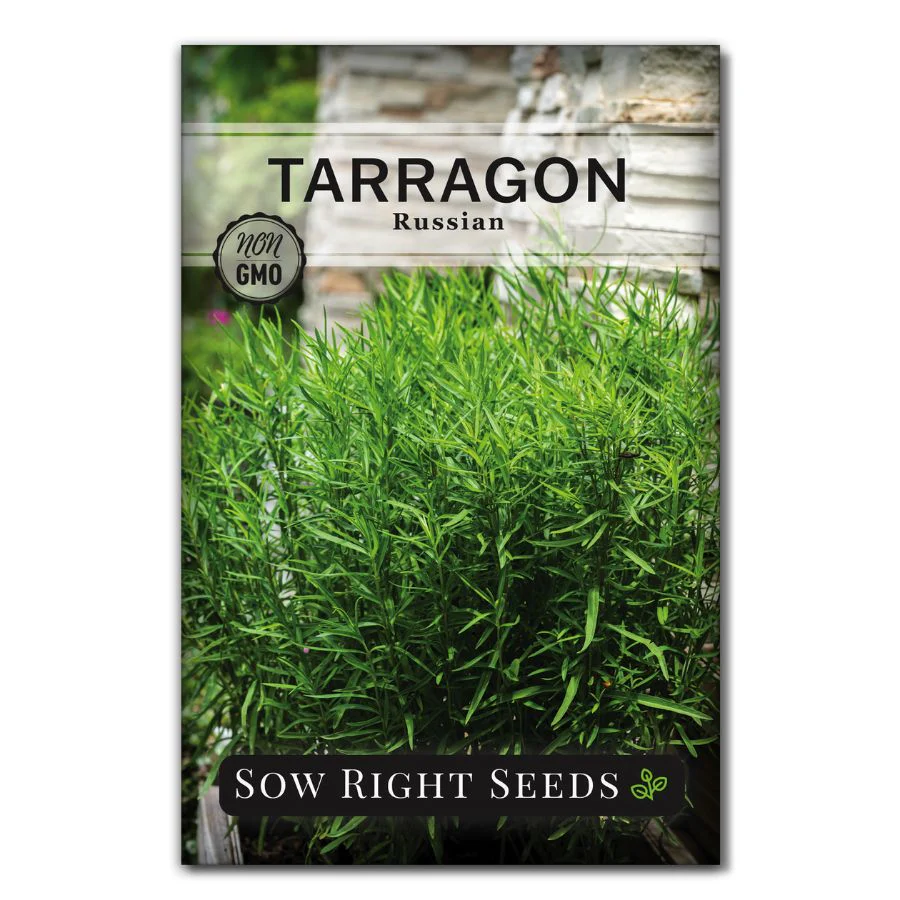 Russian Tarragon