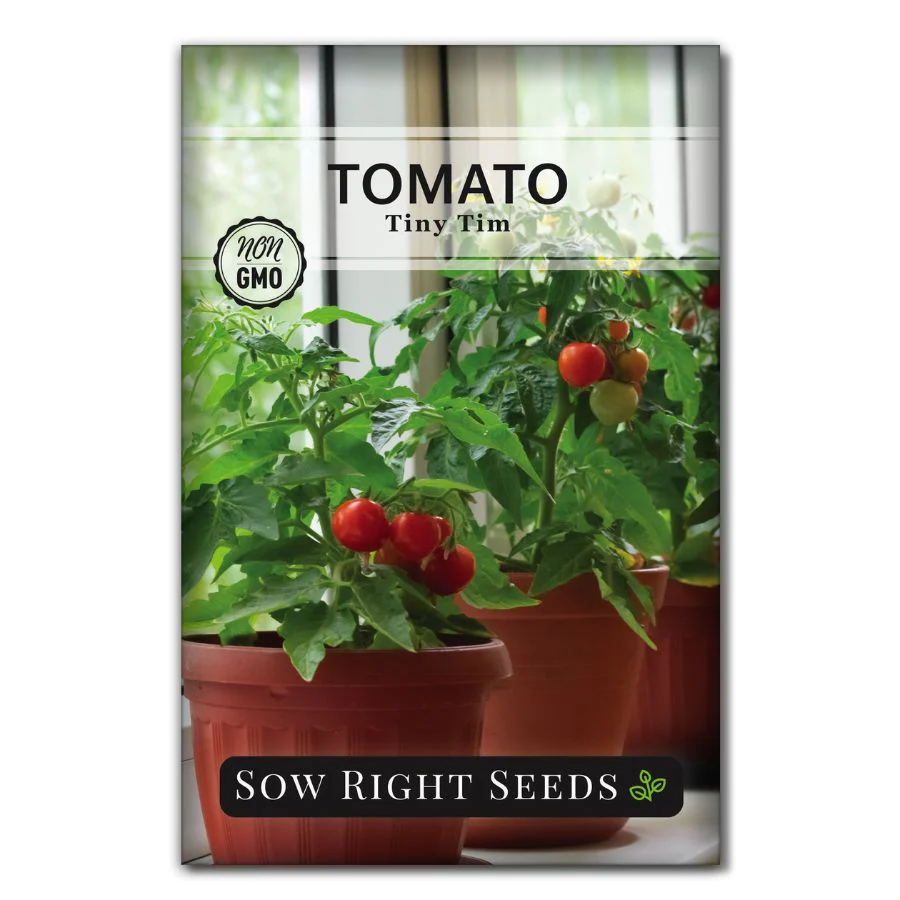 Tiny Tim Tomato Seeds