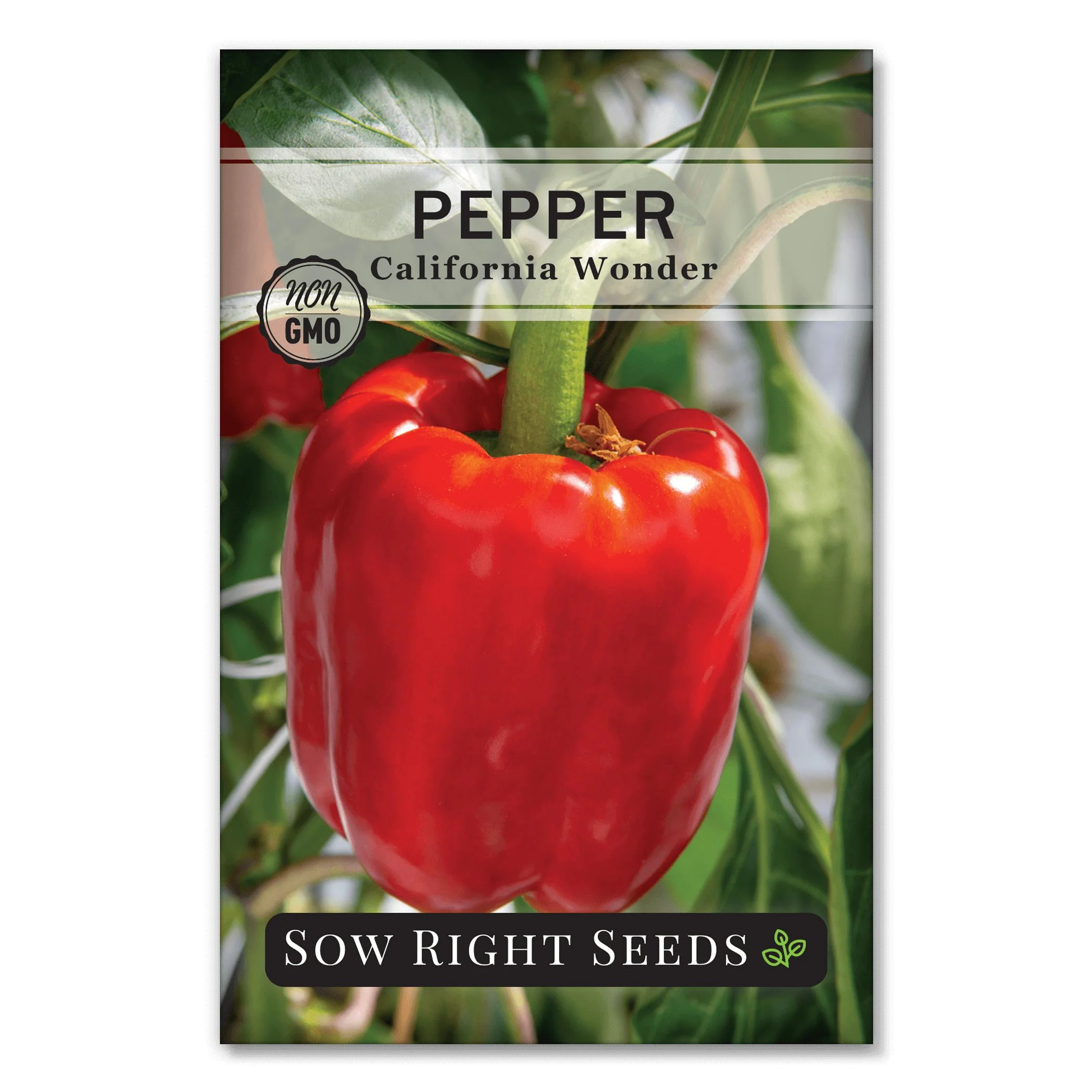 California Wonder Pepper Seeds