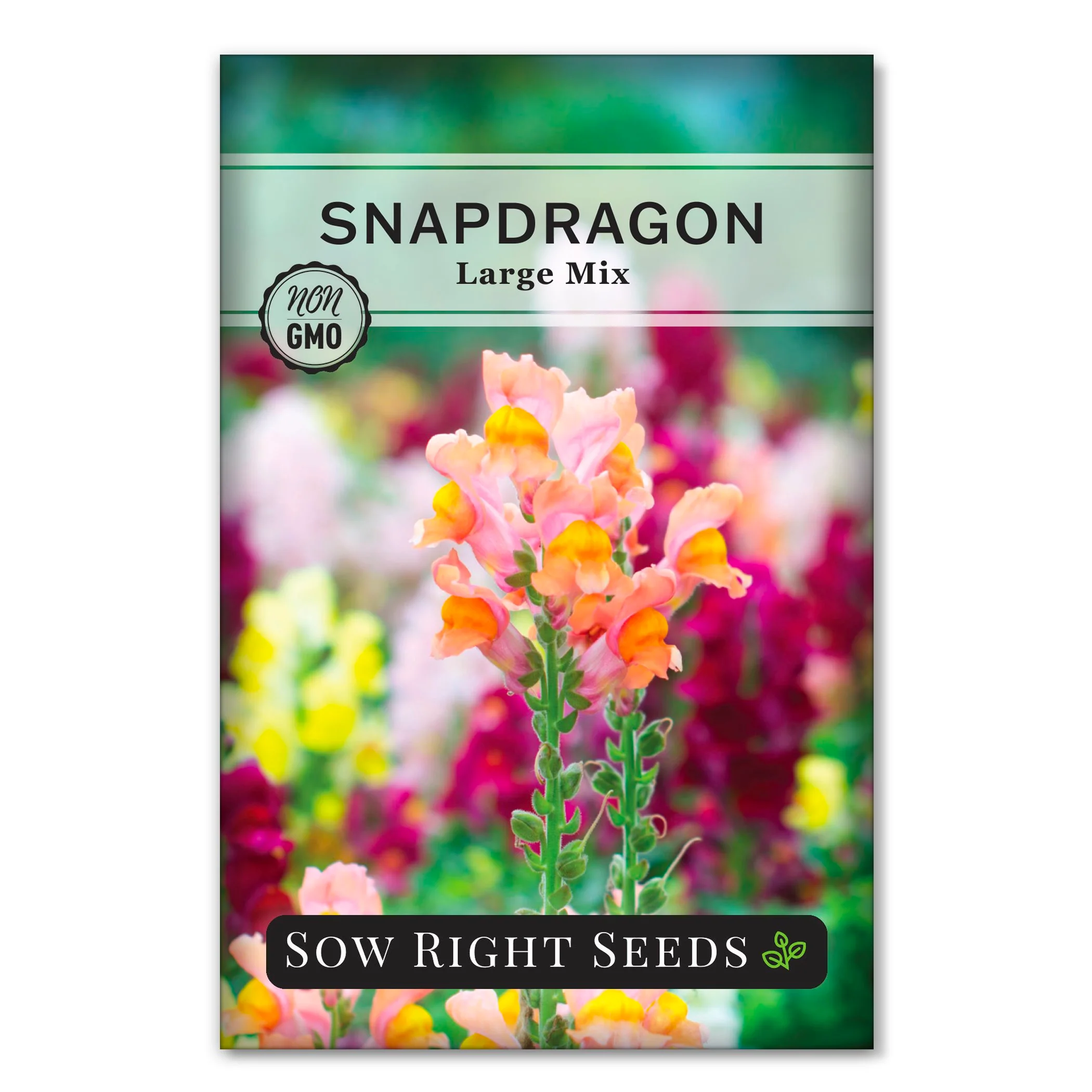 Large Mix Snapdragon Seeds