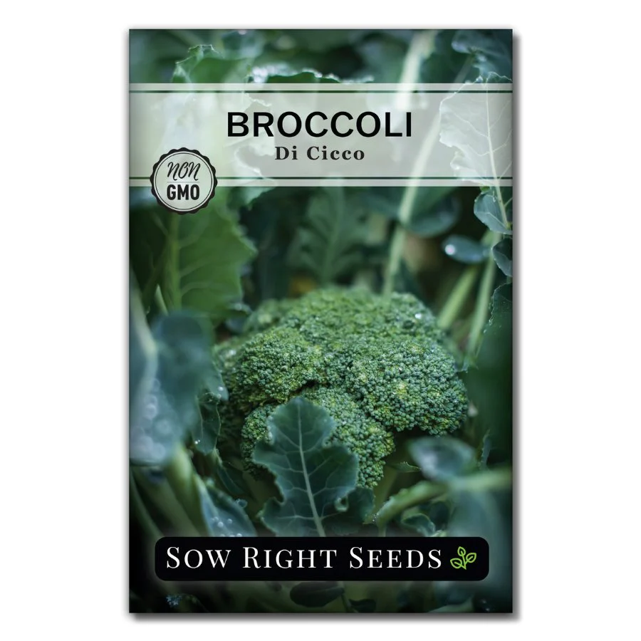Di Cicco Broccoli