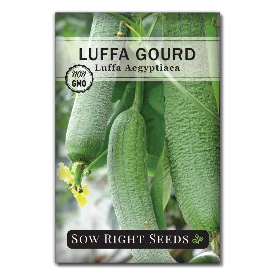 Luffa Gourd Seeds