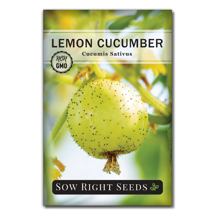 Lemon Cucumber Seeds