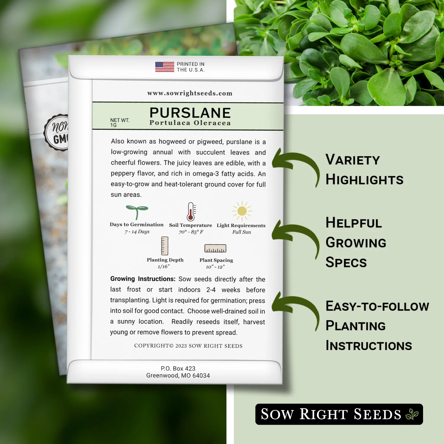 Purslane