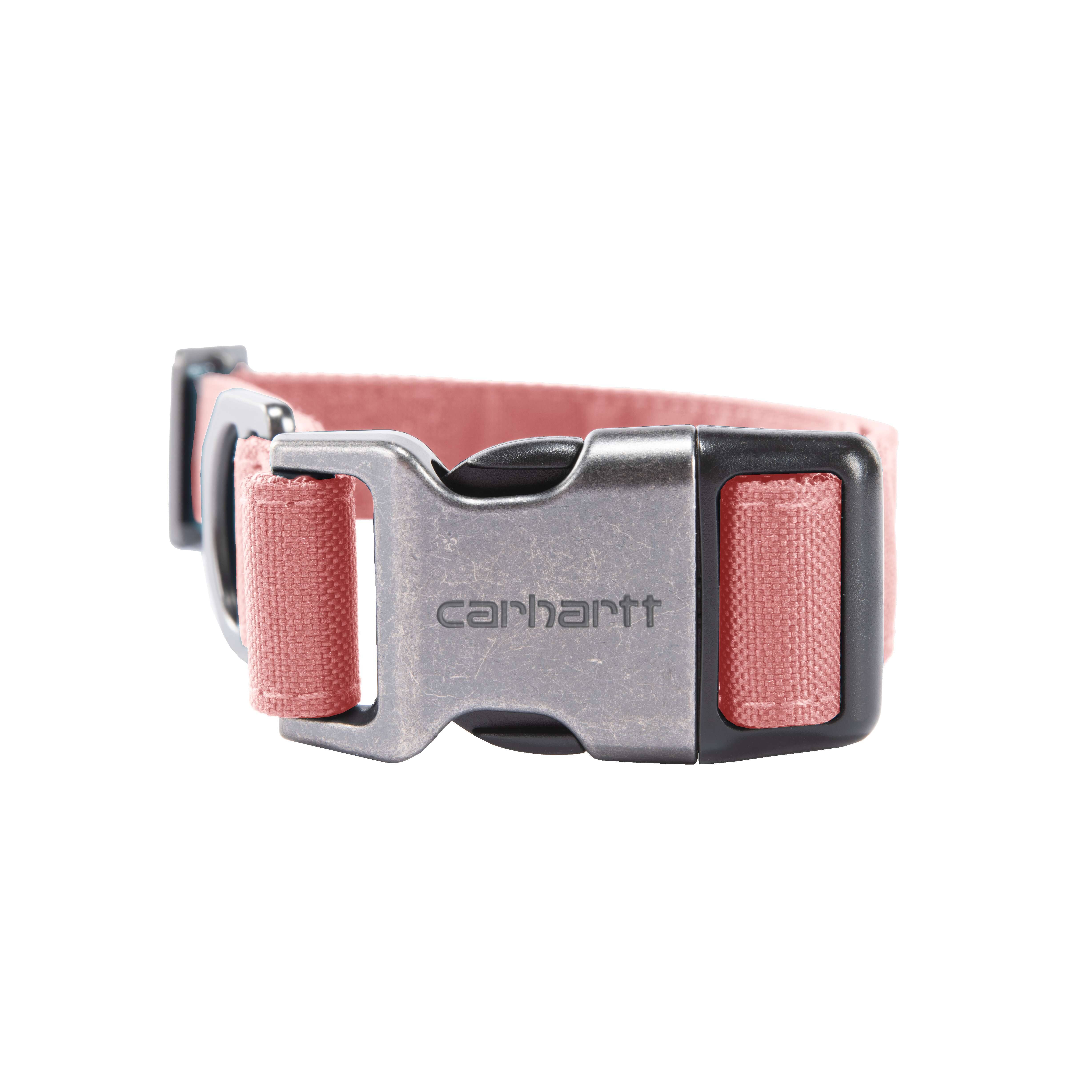 Field Dog Collar