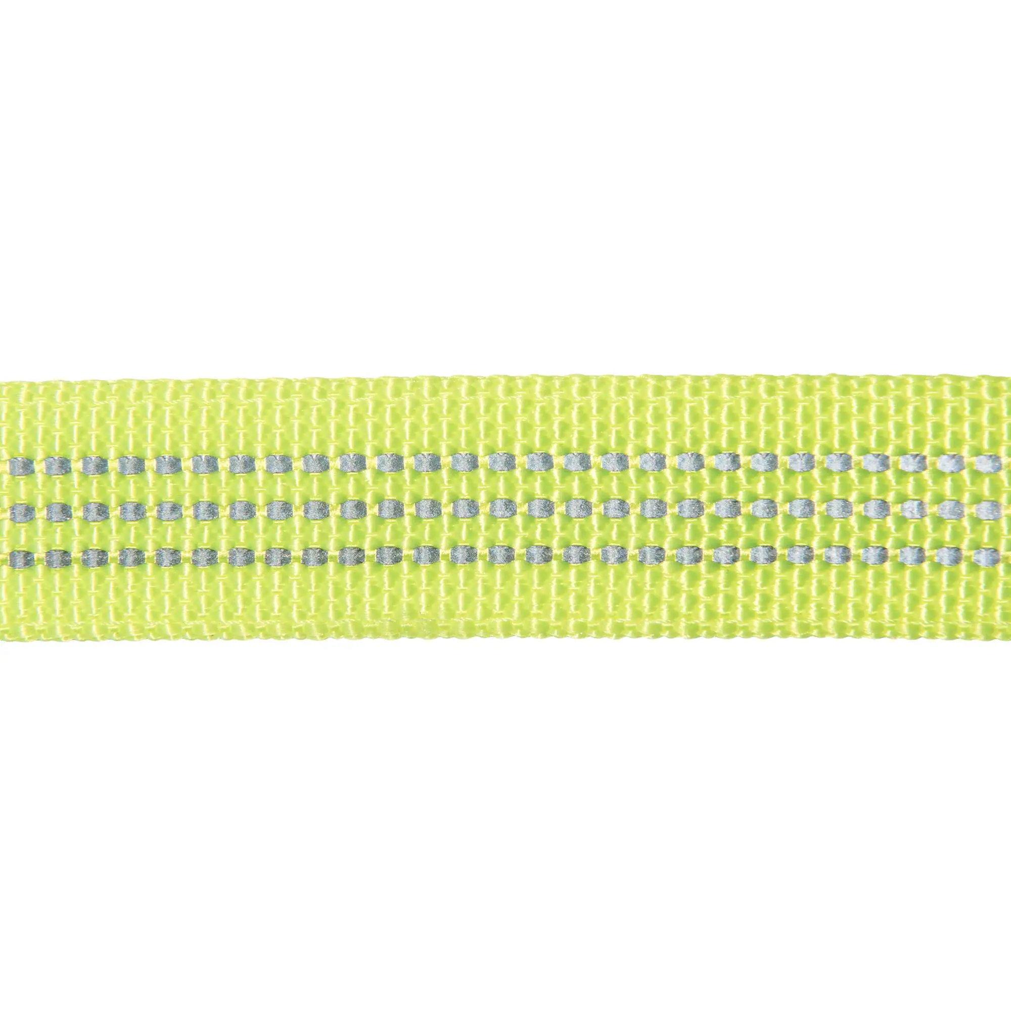 Nylon Duck Dog Leash