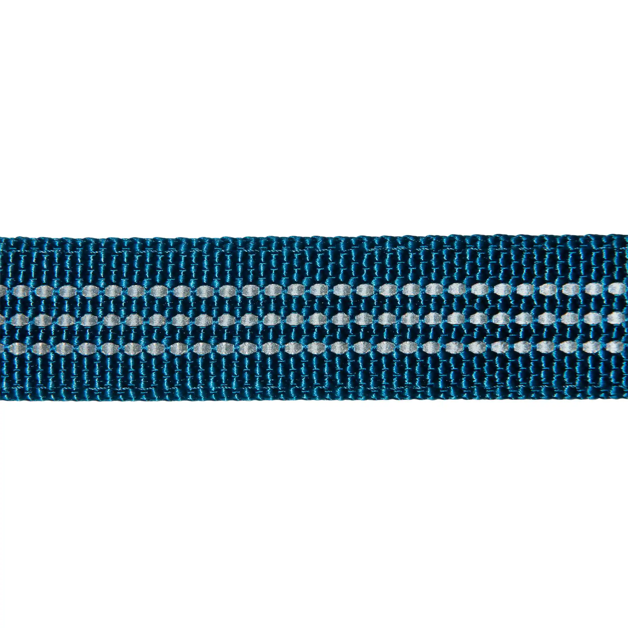 Nylon Duck Dog Leash