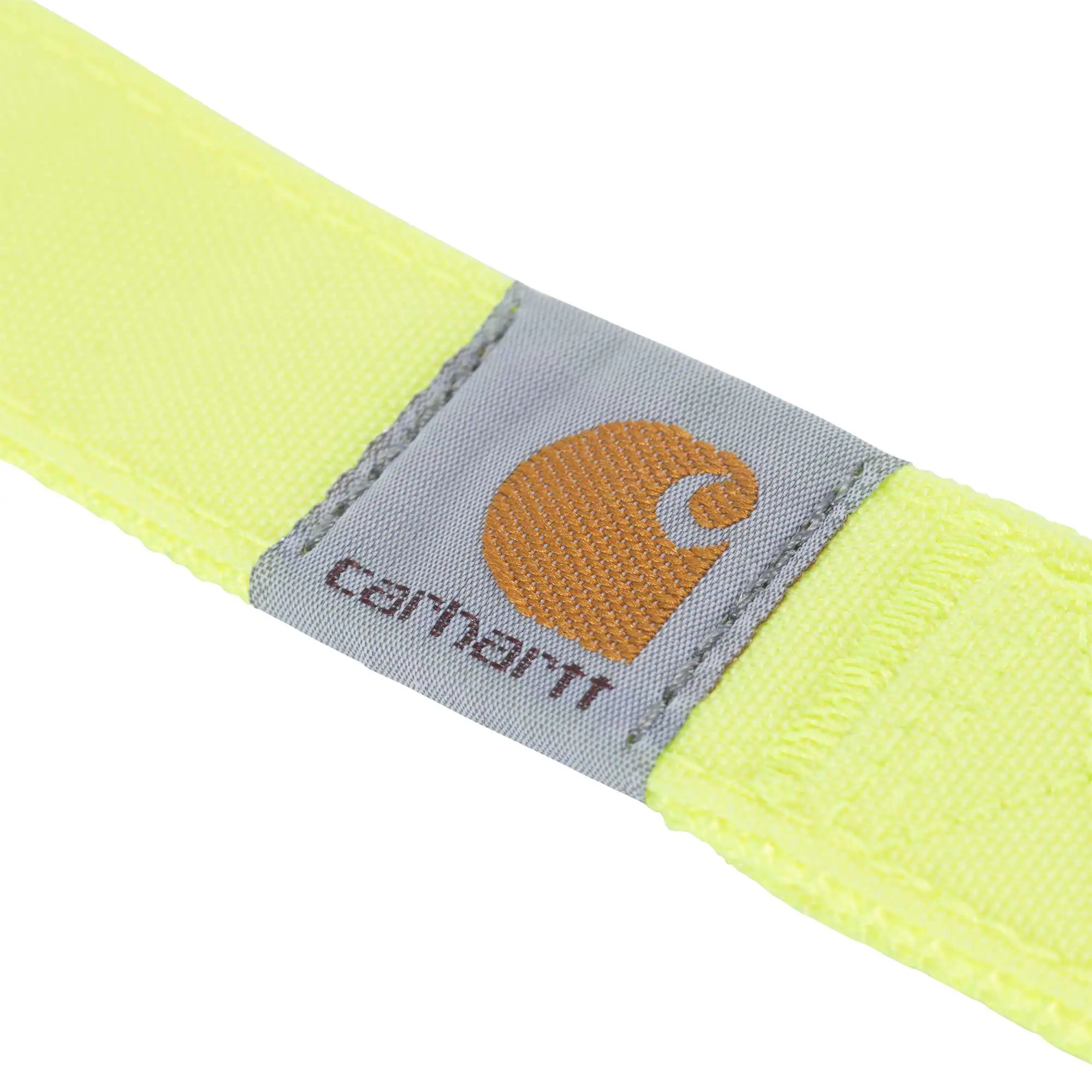 Nylon Duck Dog Leash