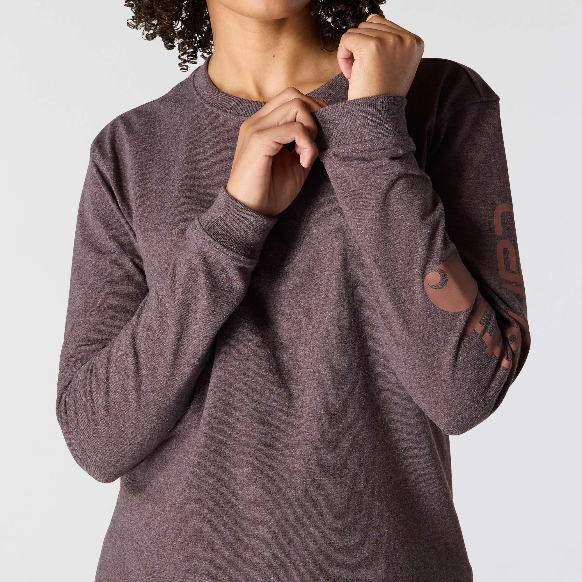 Women's Loose Fit Heavyweight Long-Sleeve Logo Sleeve Graphic T-Shirt