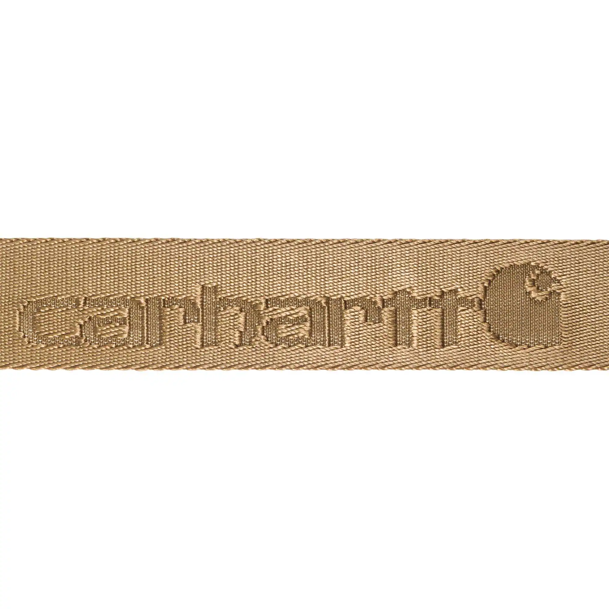 Nylon Webbing Ladder Lock Belt