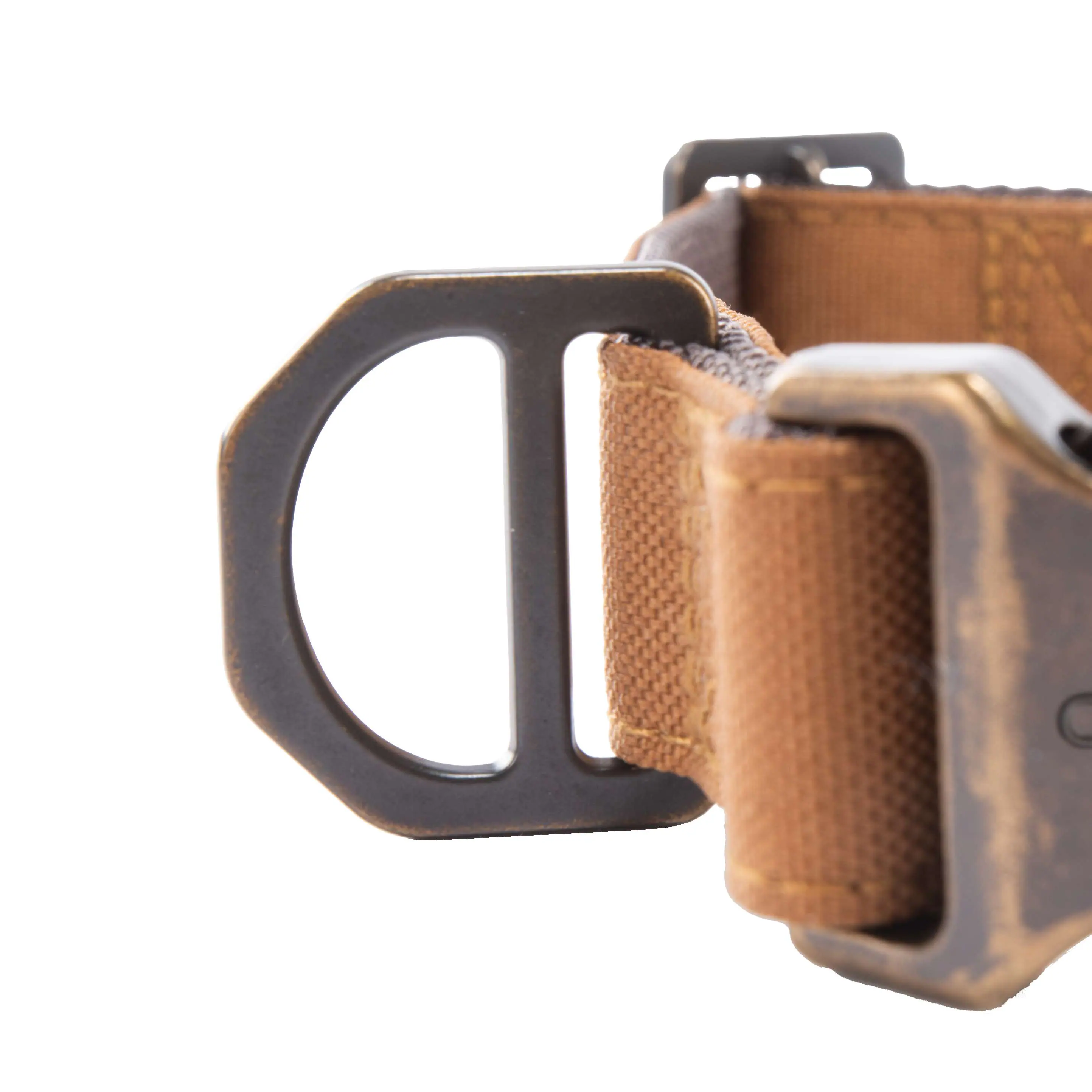 Field Dog Collar