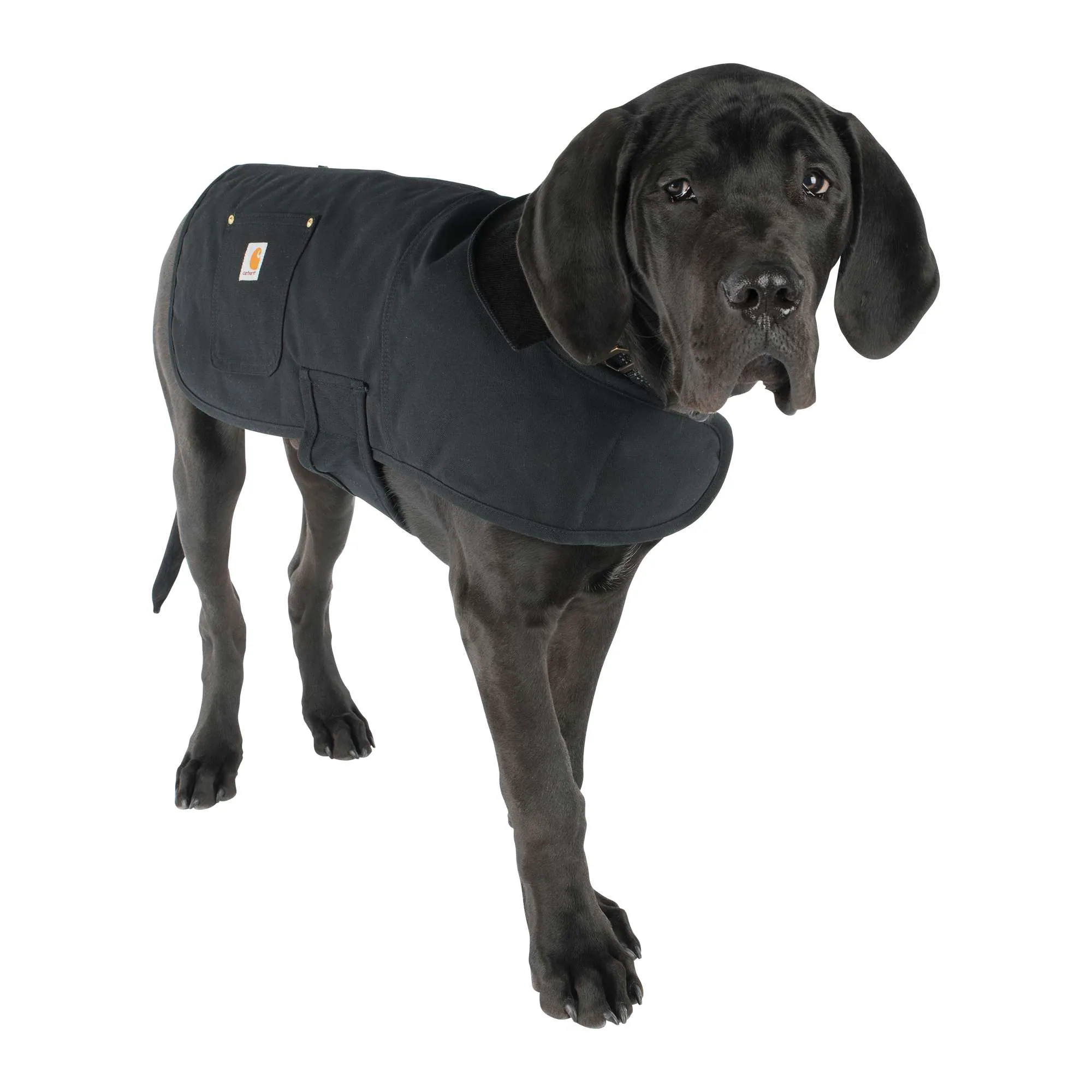 Dog Chore Coat
