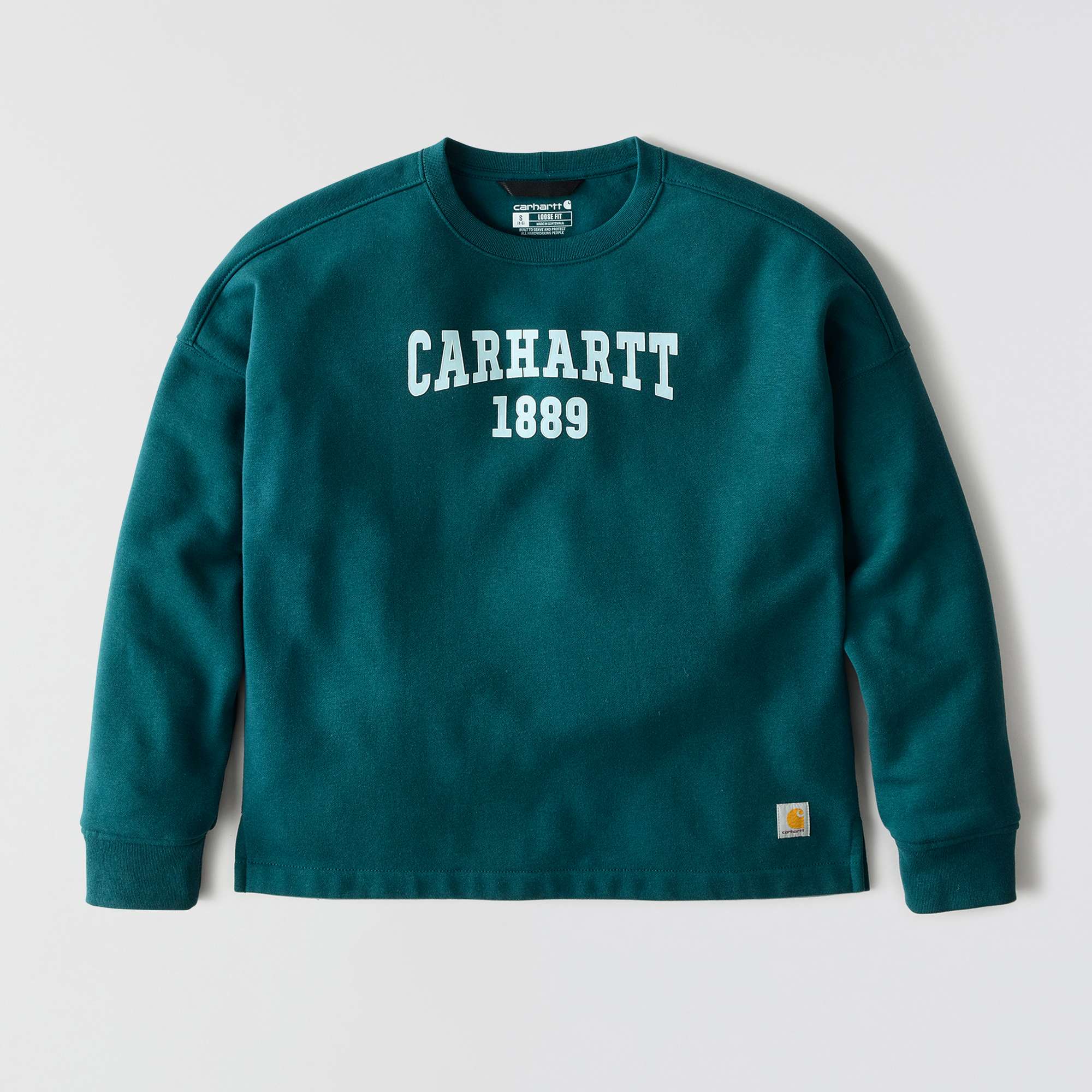 Women's Loose Fit Midweight Carhartt Graphic Sweatshirt