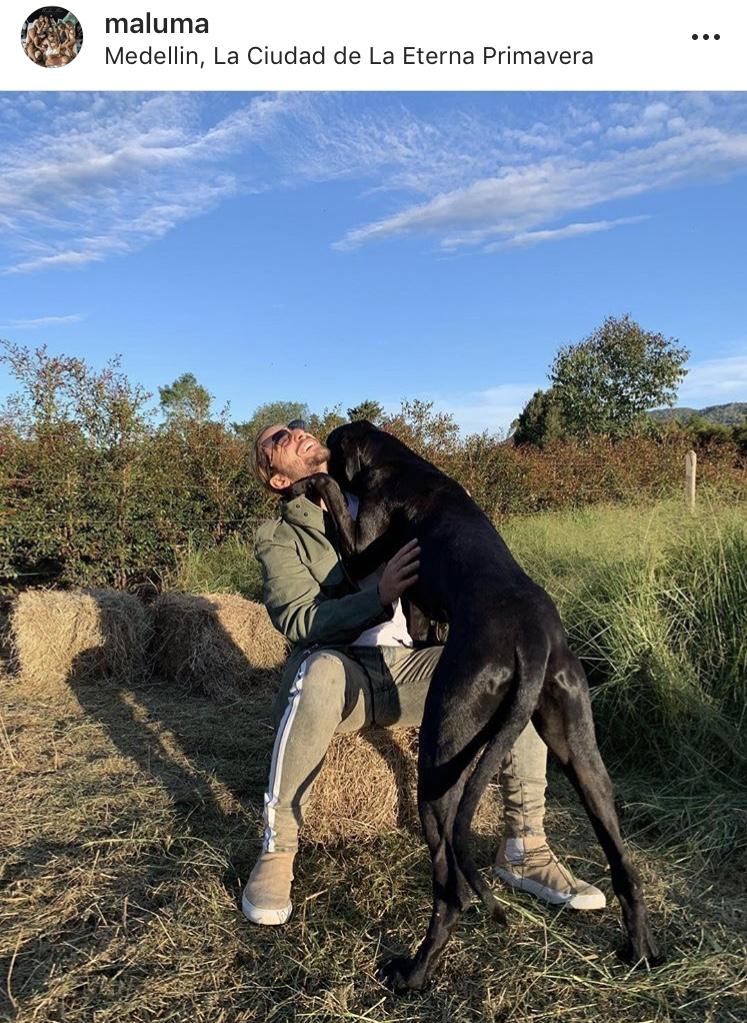 Beatols Beige | Beige | Suede X MALUMA | Limited Edition