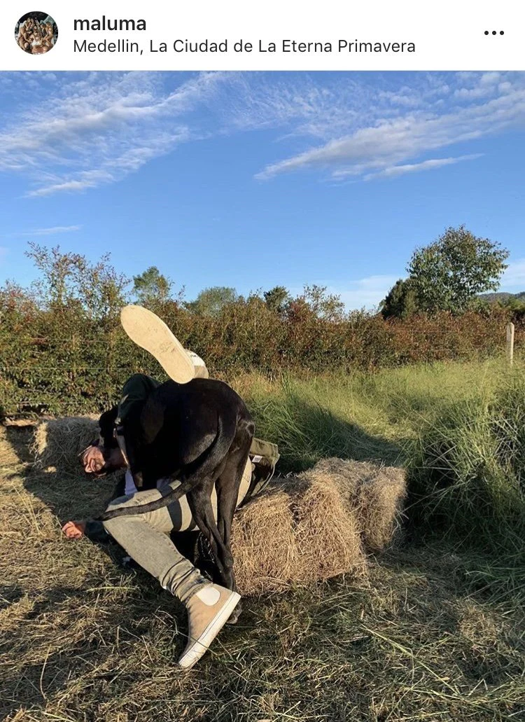 Beatols Beige | Beige | Suede X MALUMA | Limited Edition